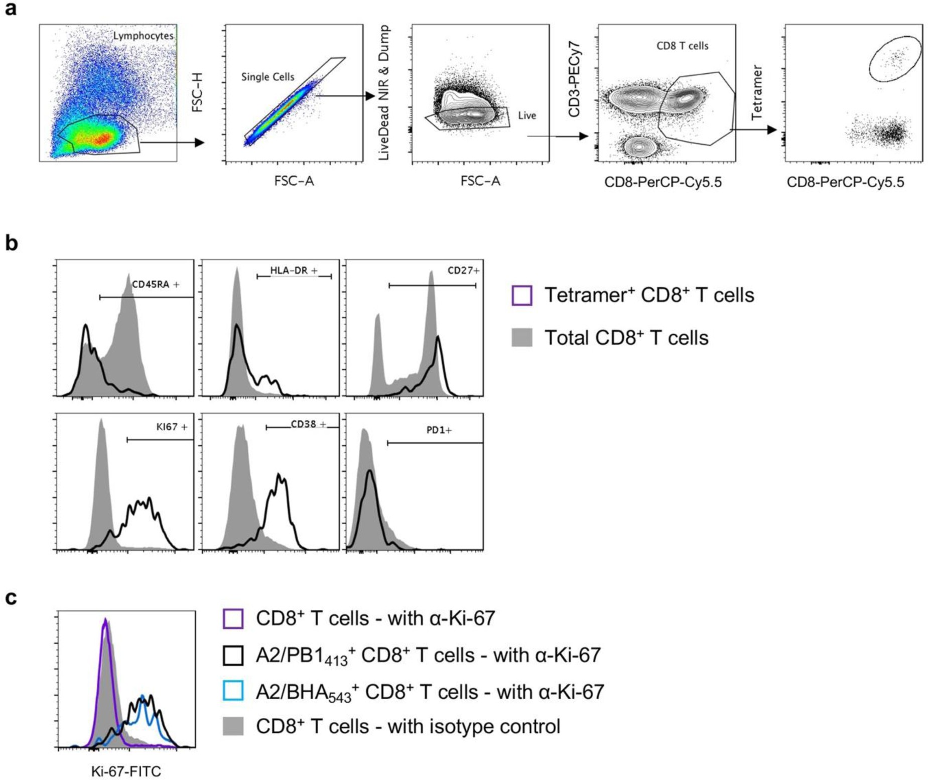 Supplementary Figure 4