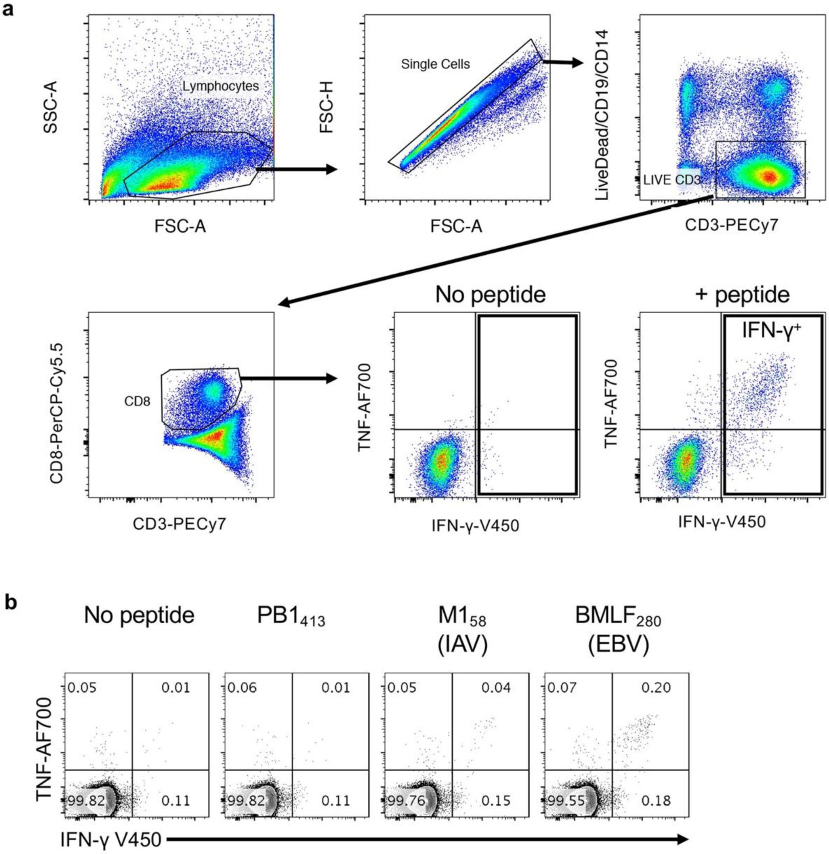 Supplementary Figure 1