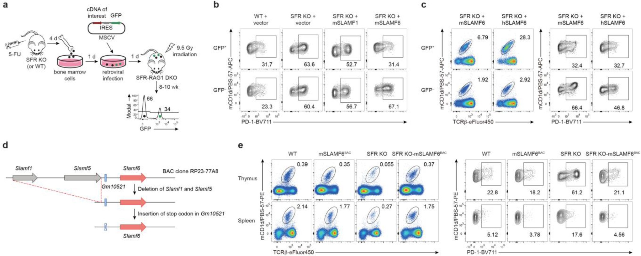 Supplementary Figure 7
