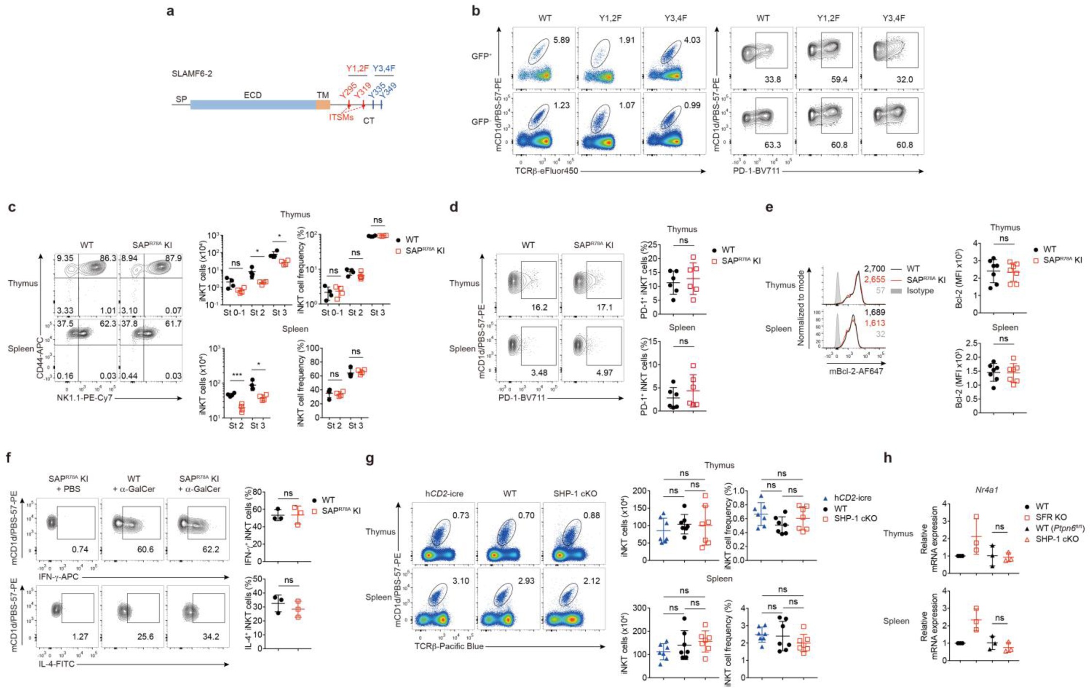 Supplementary Figure 8