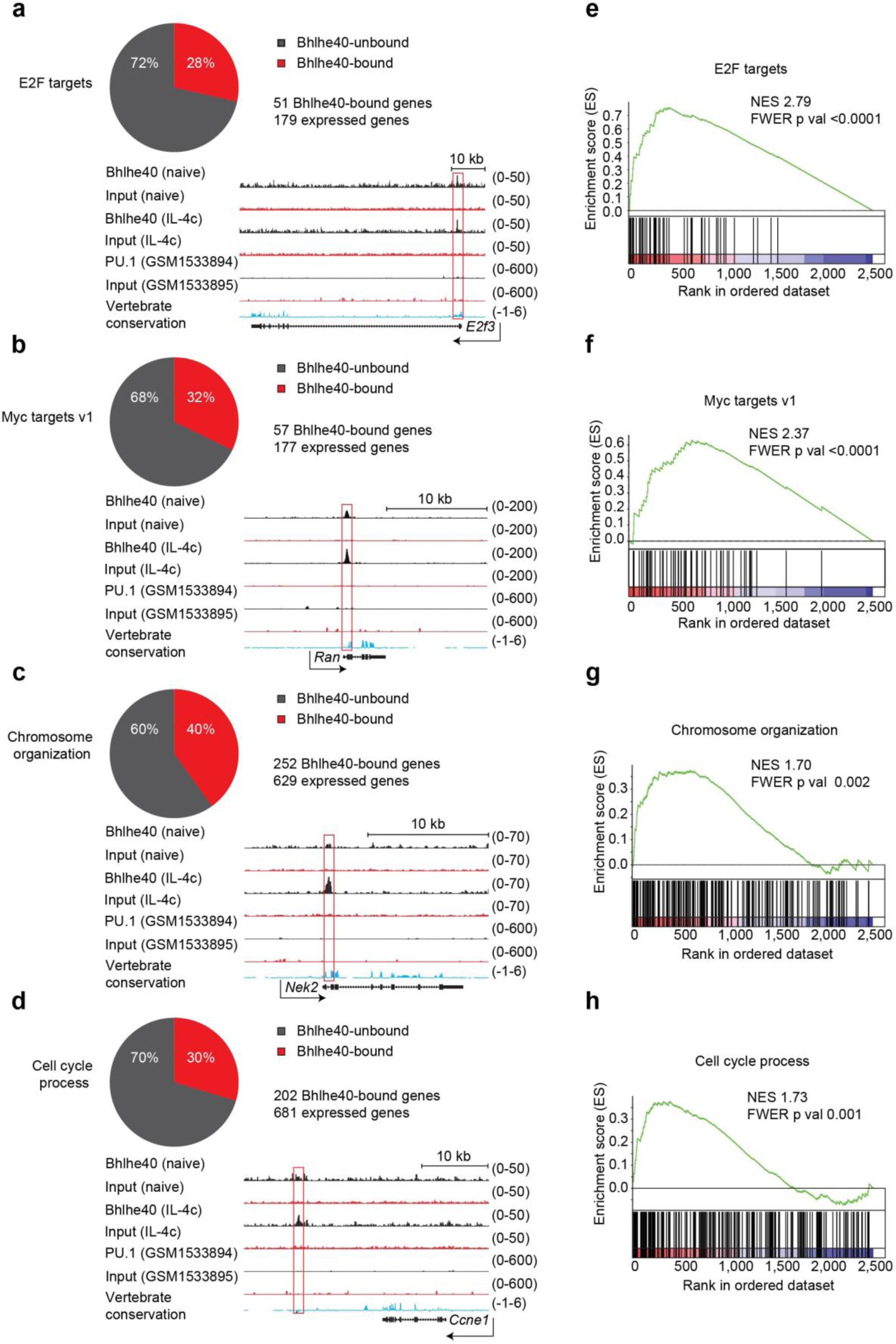 Supplementary Fig. 8