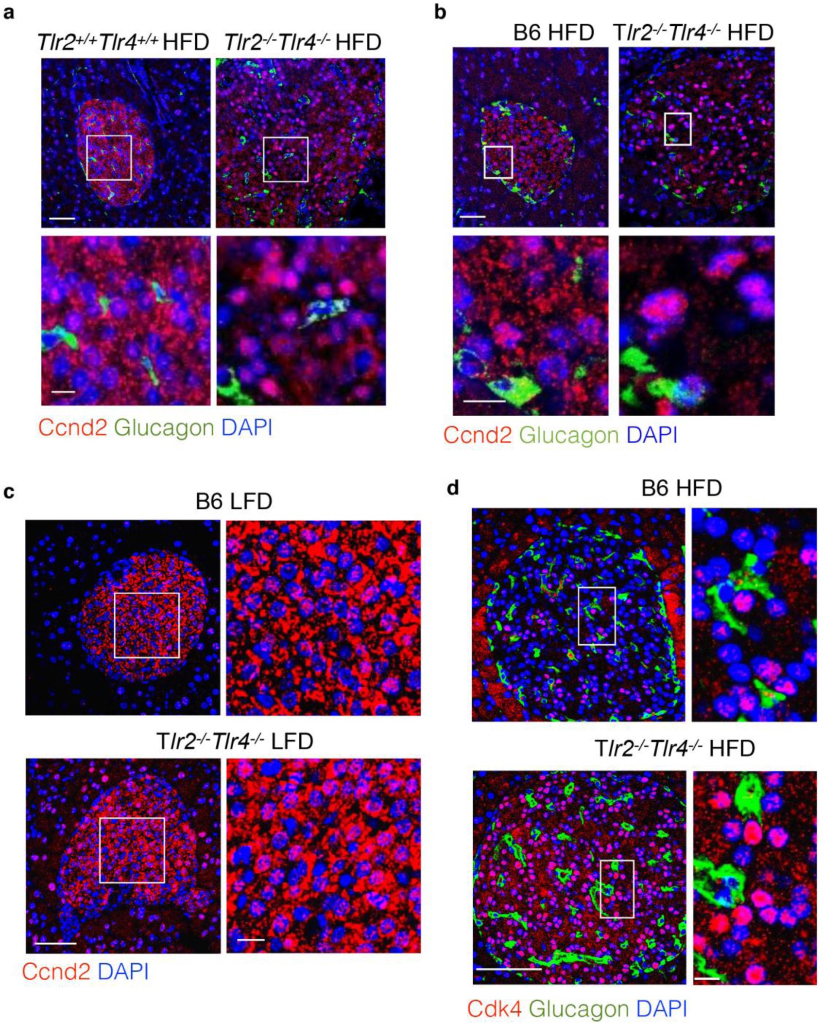 Supplementary Figure 5