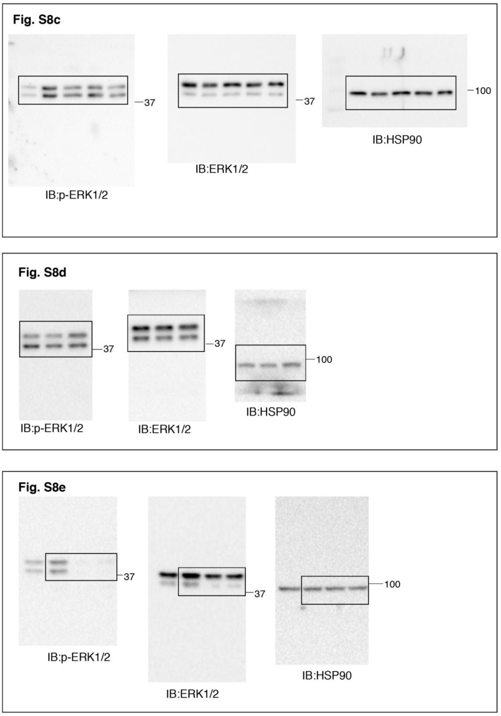 Supplementary Figure 11