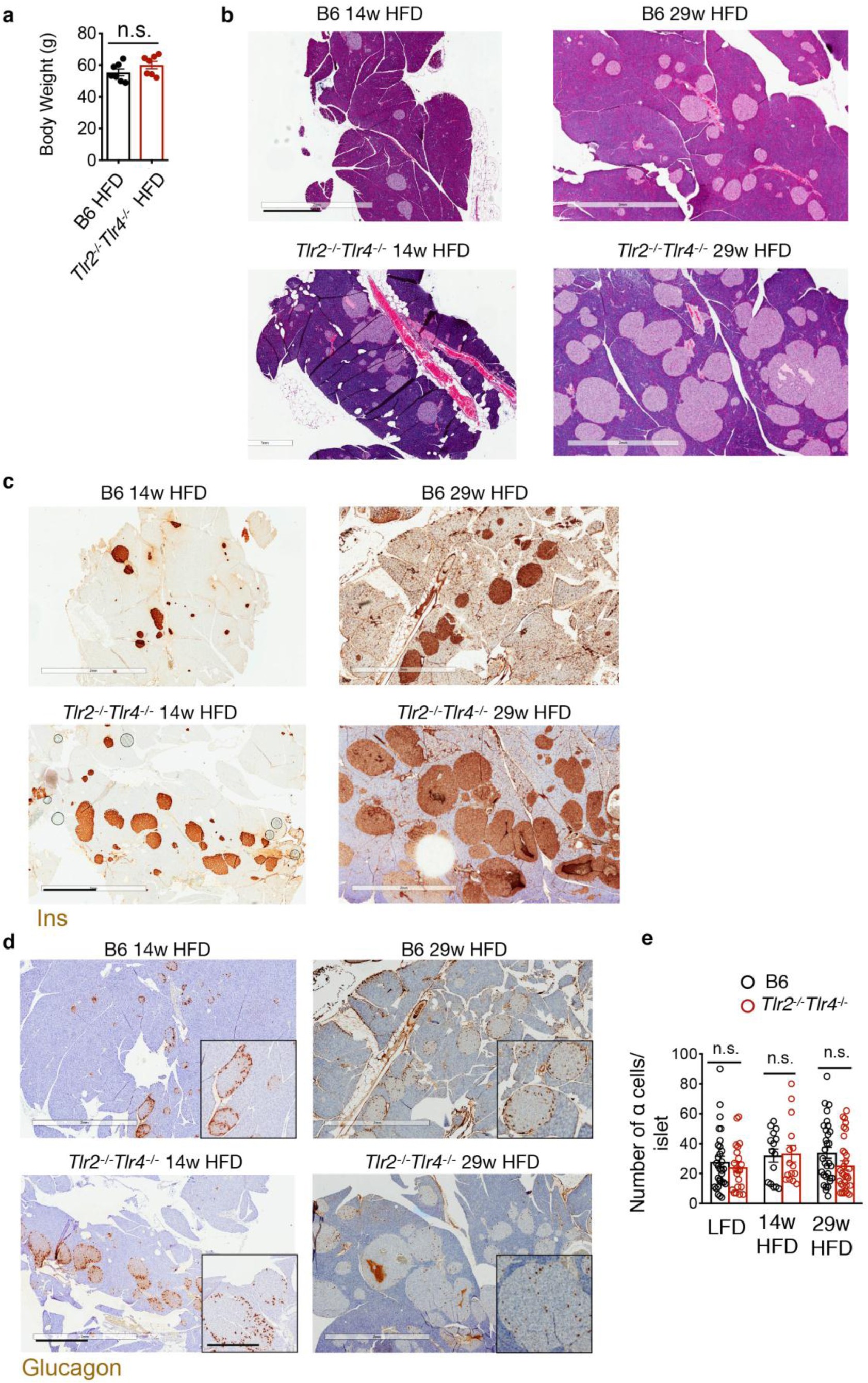 Supplementary Figure 2