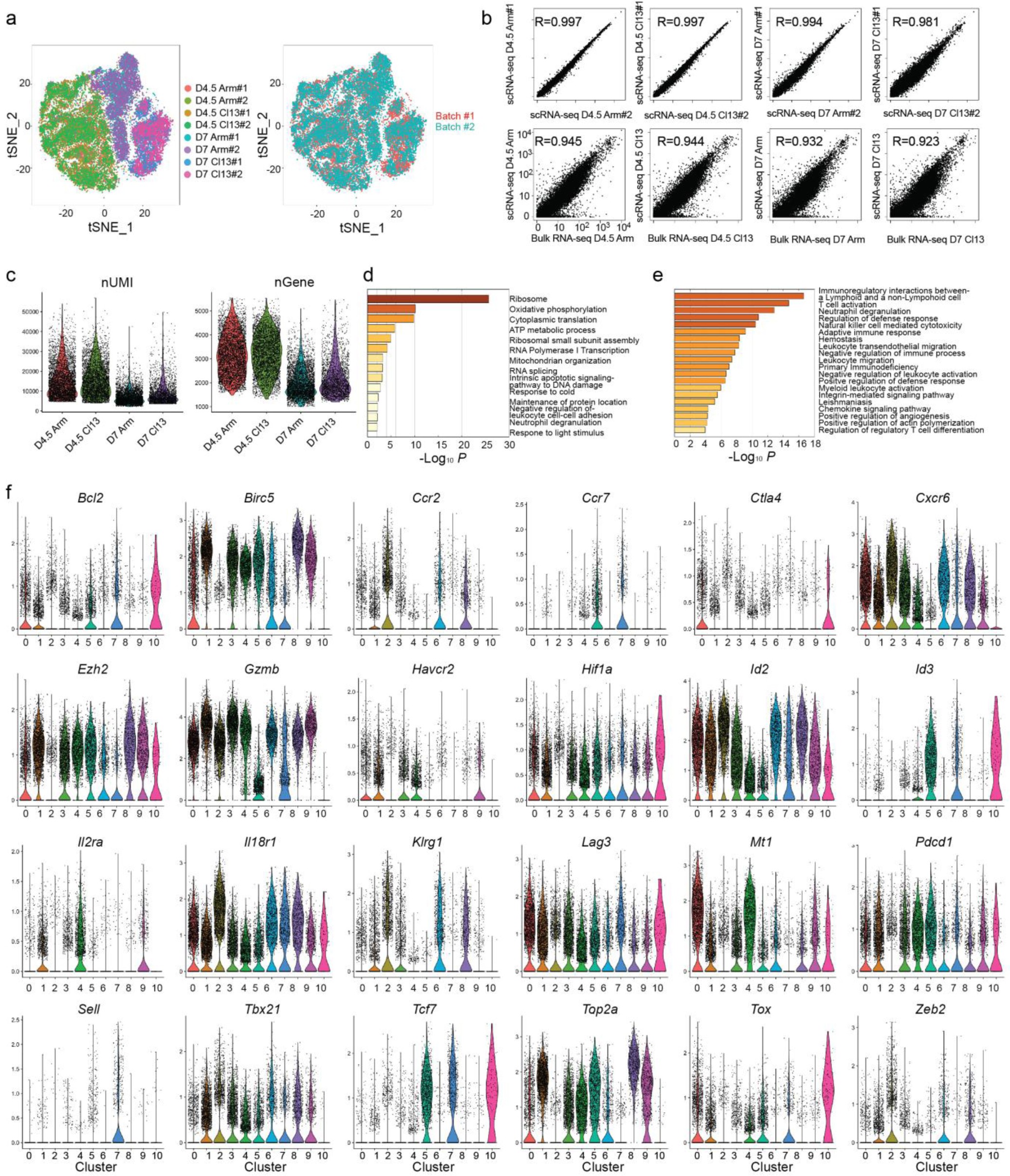 Supplementary Figure 2: scRNA-seq analysis of virus-specific CD8+ T cells from acute and chronic LCMV infections.