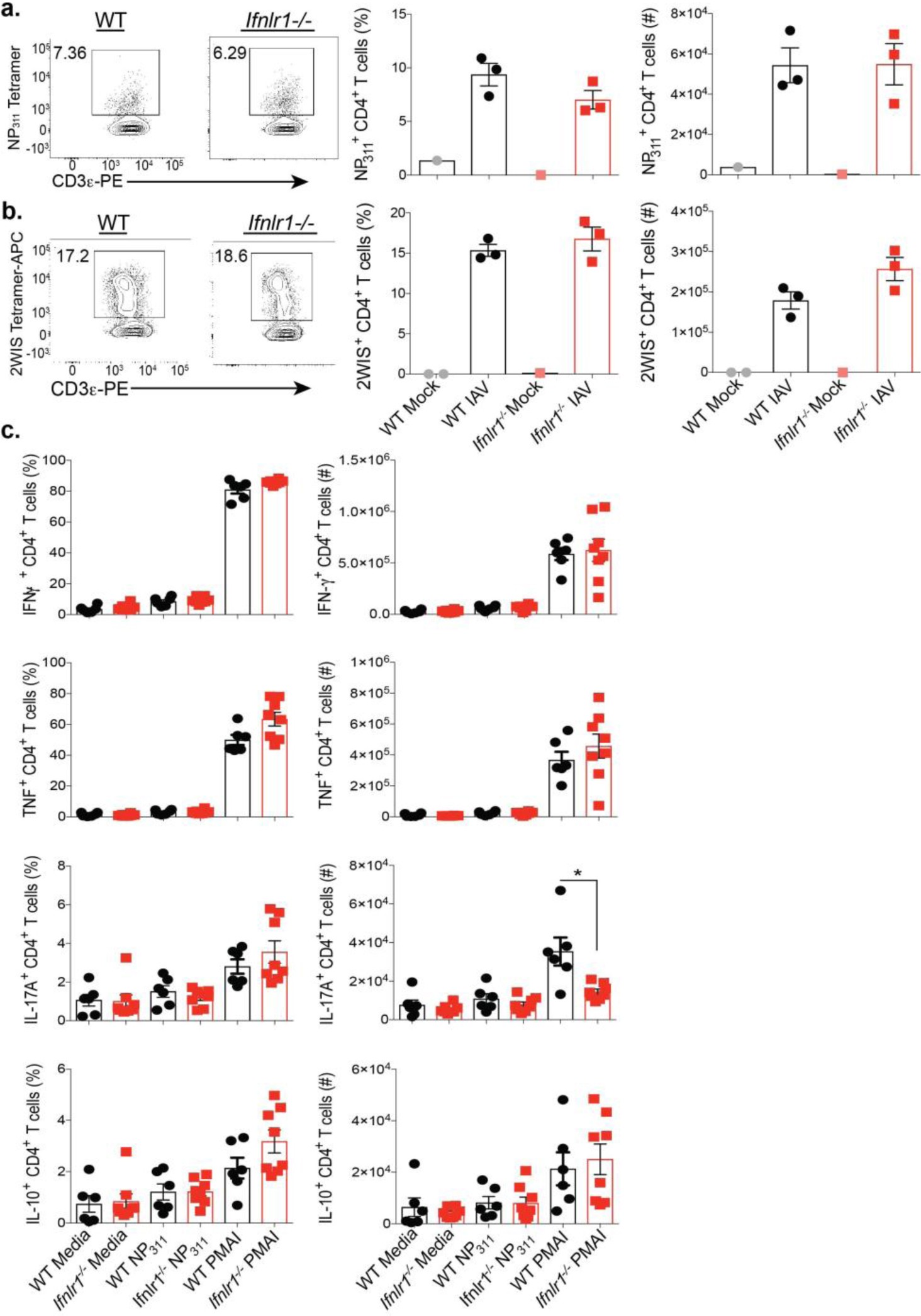 Supplementary Figure 3: IFN-λ signaling is dispensable for effector IAV-specific CD4+ T cells responses in the lung.