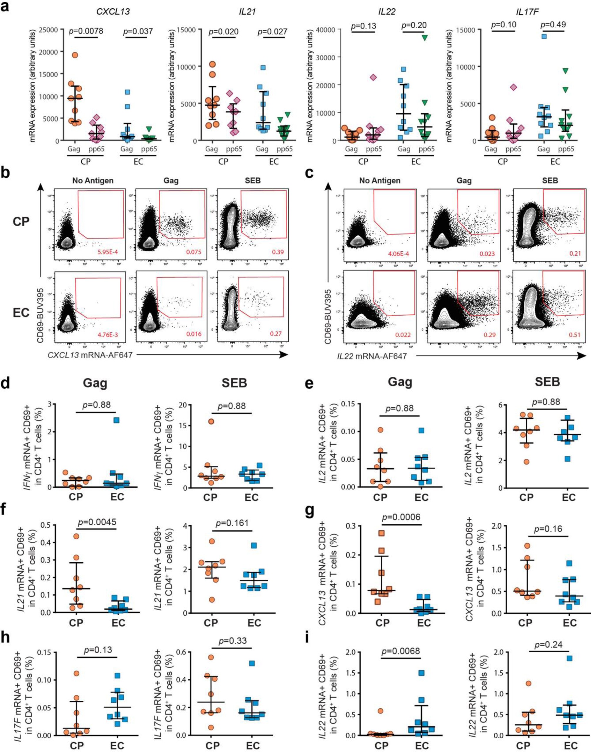 Supplementary Figure 4: TFH, TH17 and TH22 cytokine expression by HIV-specific CD4+ T cells in CPs compared to ECs.