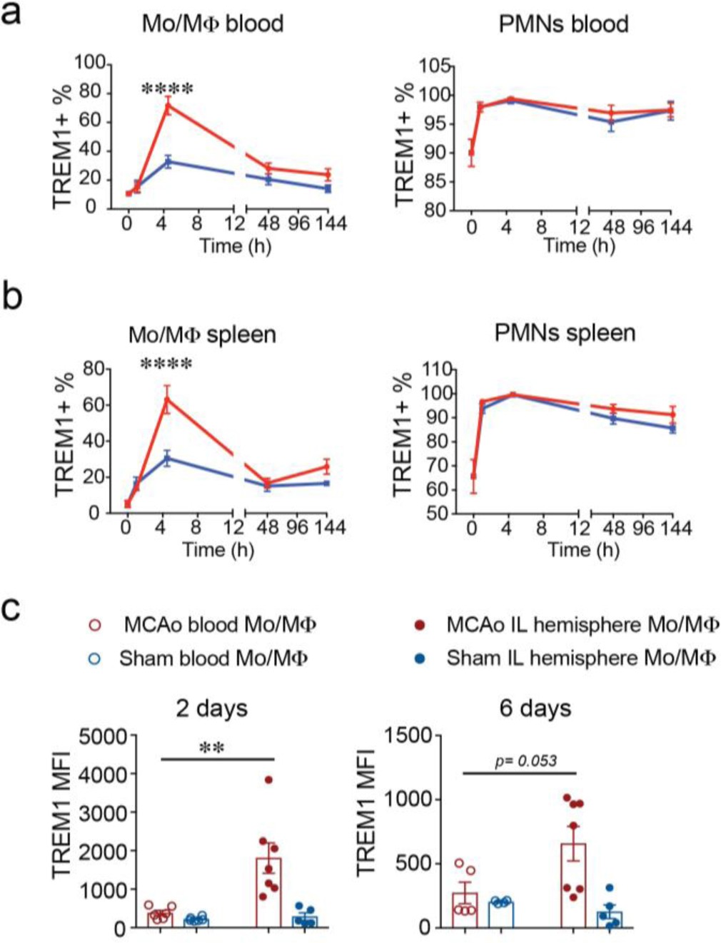Supplementary Figure 2: TREM1 surface expression is induced early after MCAo in peripheral Mo/MΦ cells.
