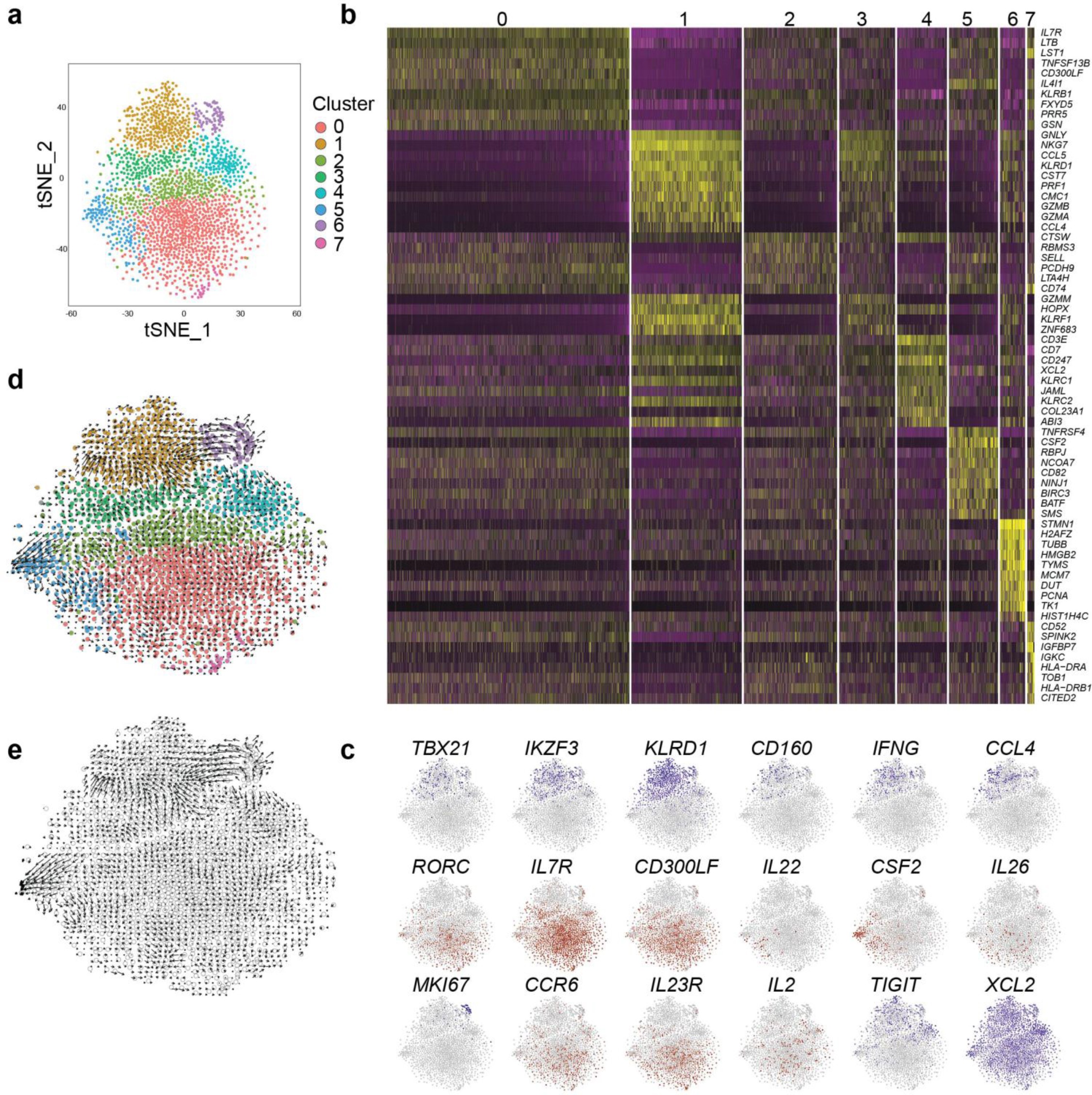 Supplementary Figure 3