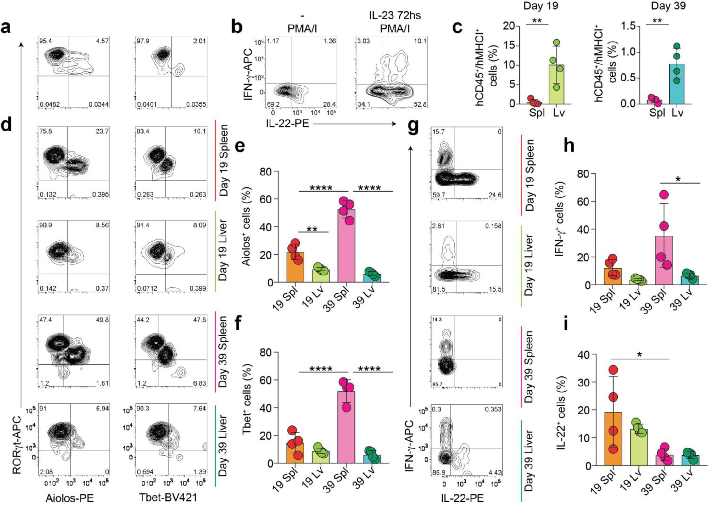 Supplementary Figure 6