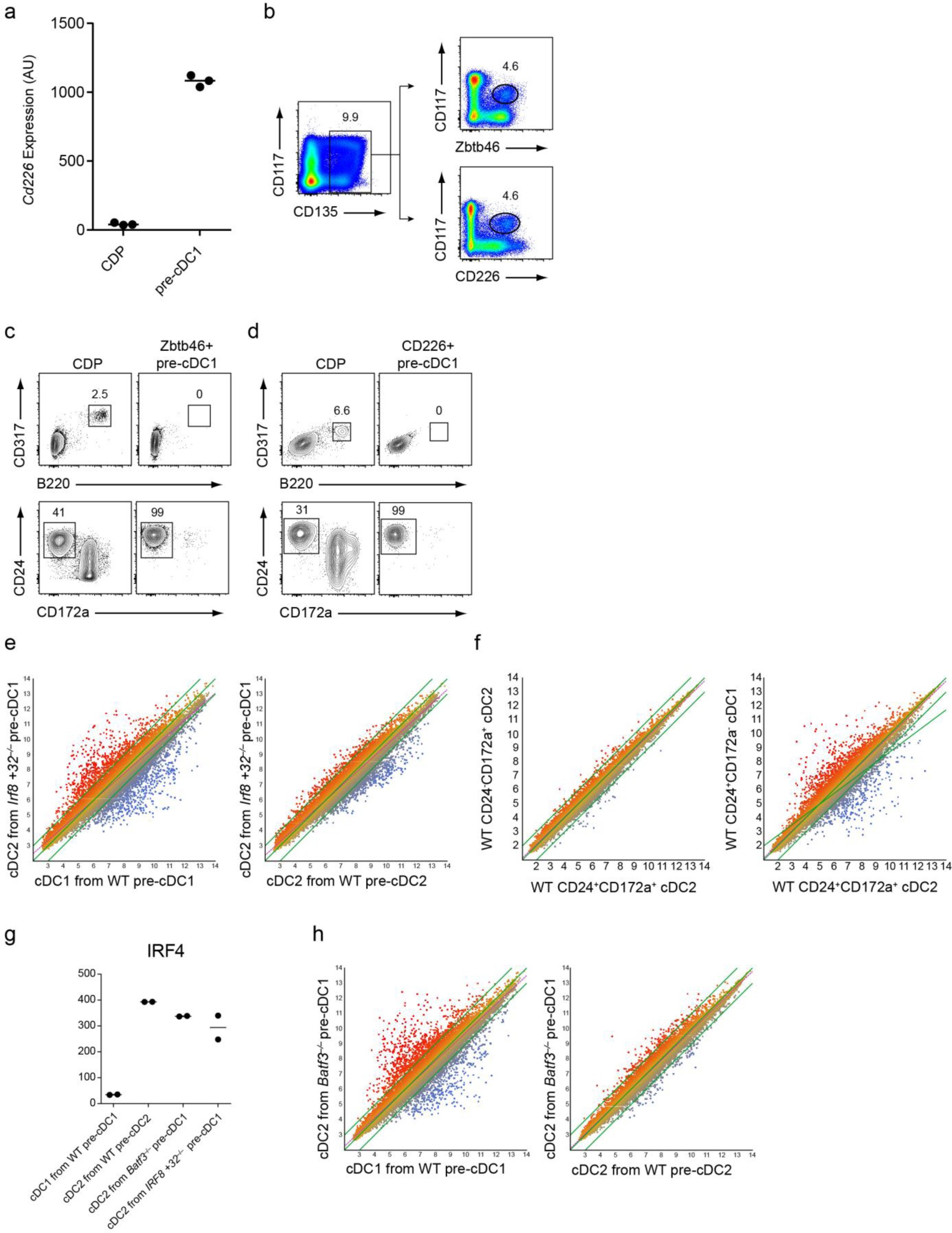 Supplementary Figure 4