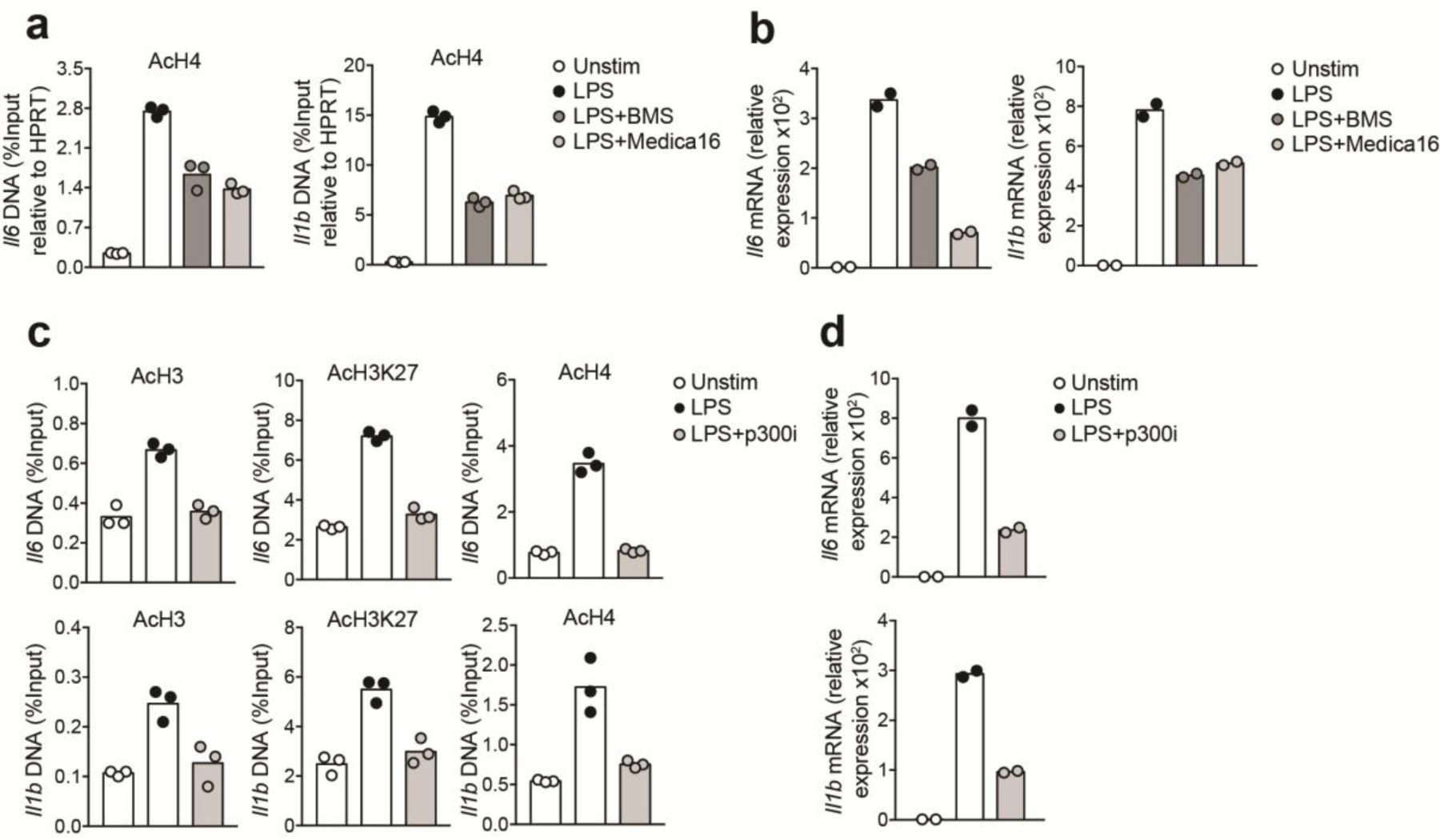 Supplementary Figure 1: ATP-citrate lyase (ACLY) and p300 activity are necessary for supporting pro-inflammatory gene induction during LPS activation in BMDMs.