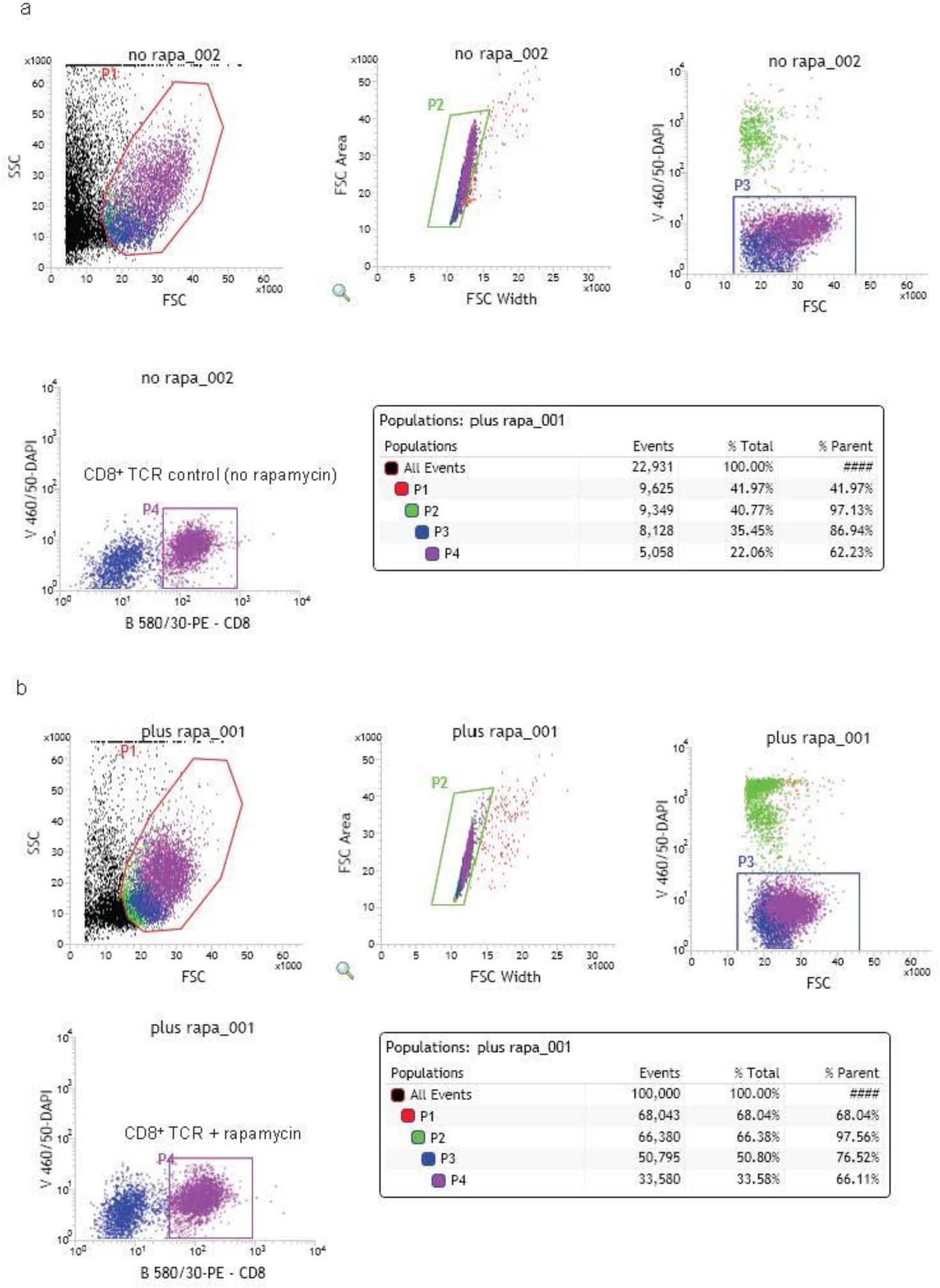 Supplementary Figure 9: Representative flow cytometry data and gating strategy for sorted TCR activated CD8+ cells treated with rapamycin.