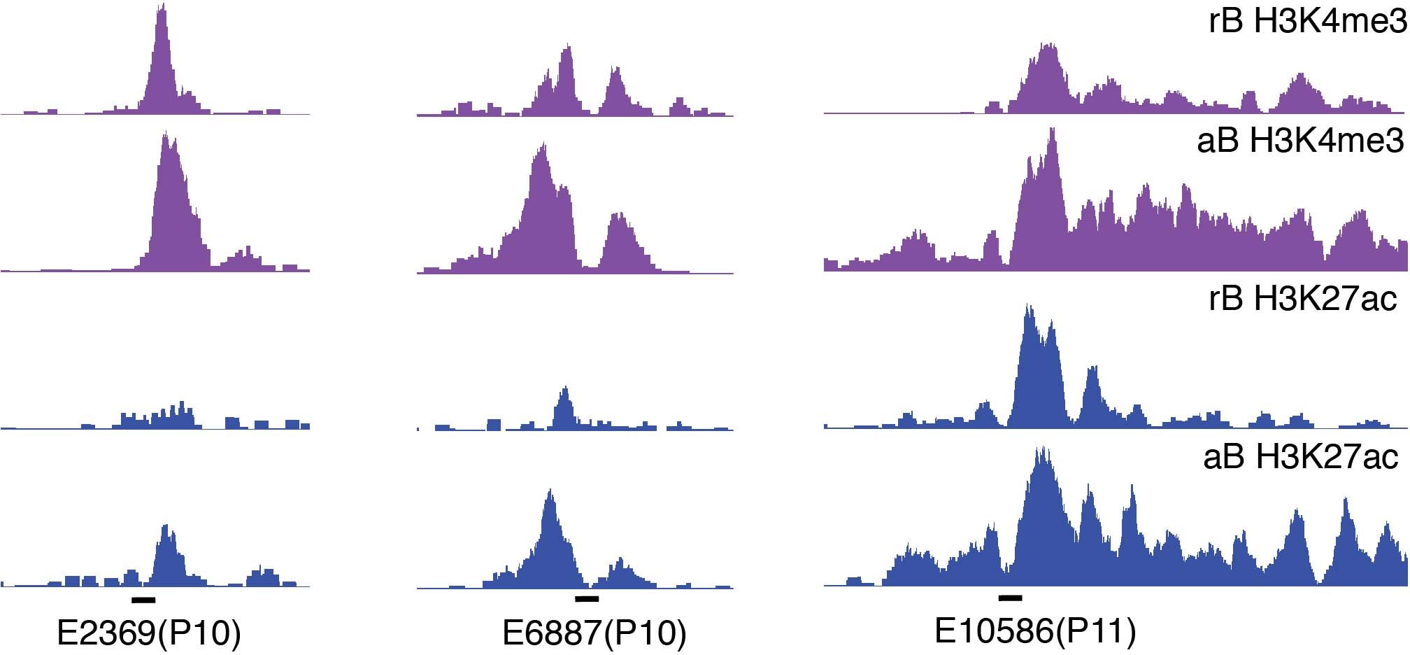 Extended Data Fig. 5
