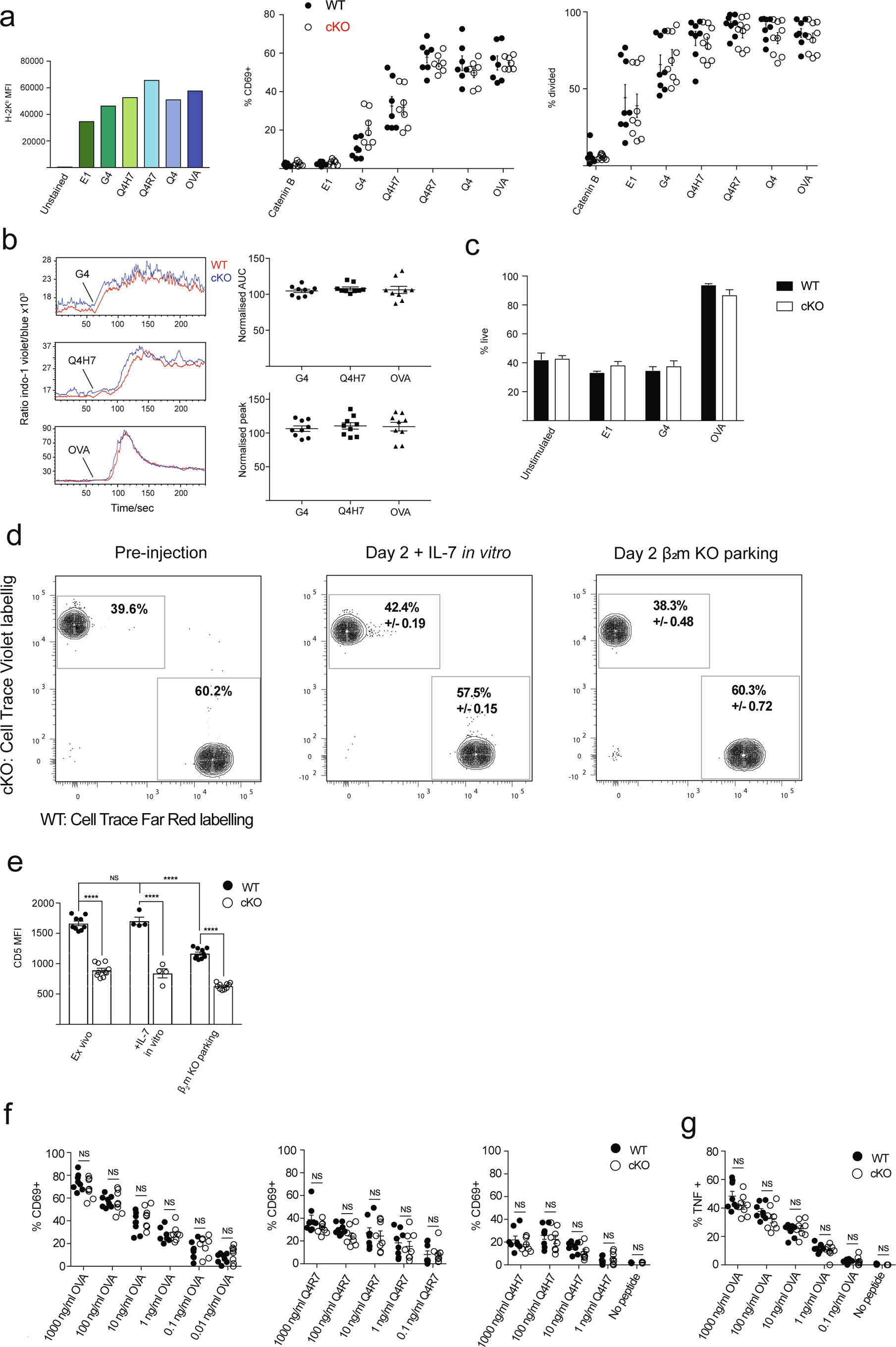 Extended Data Fig. 3: Activation of OTI TCR transgenic Themis cKO mice.