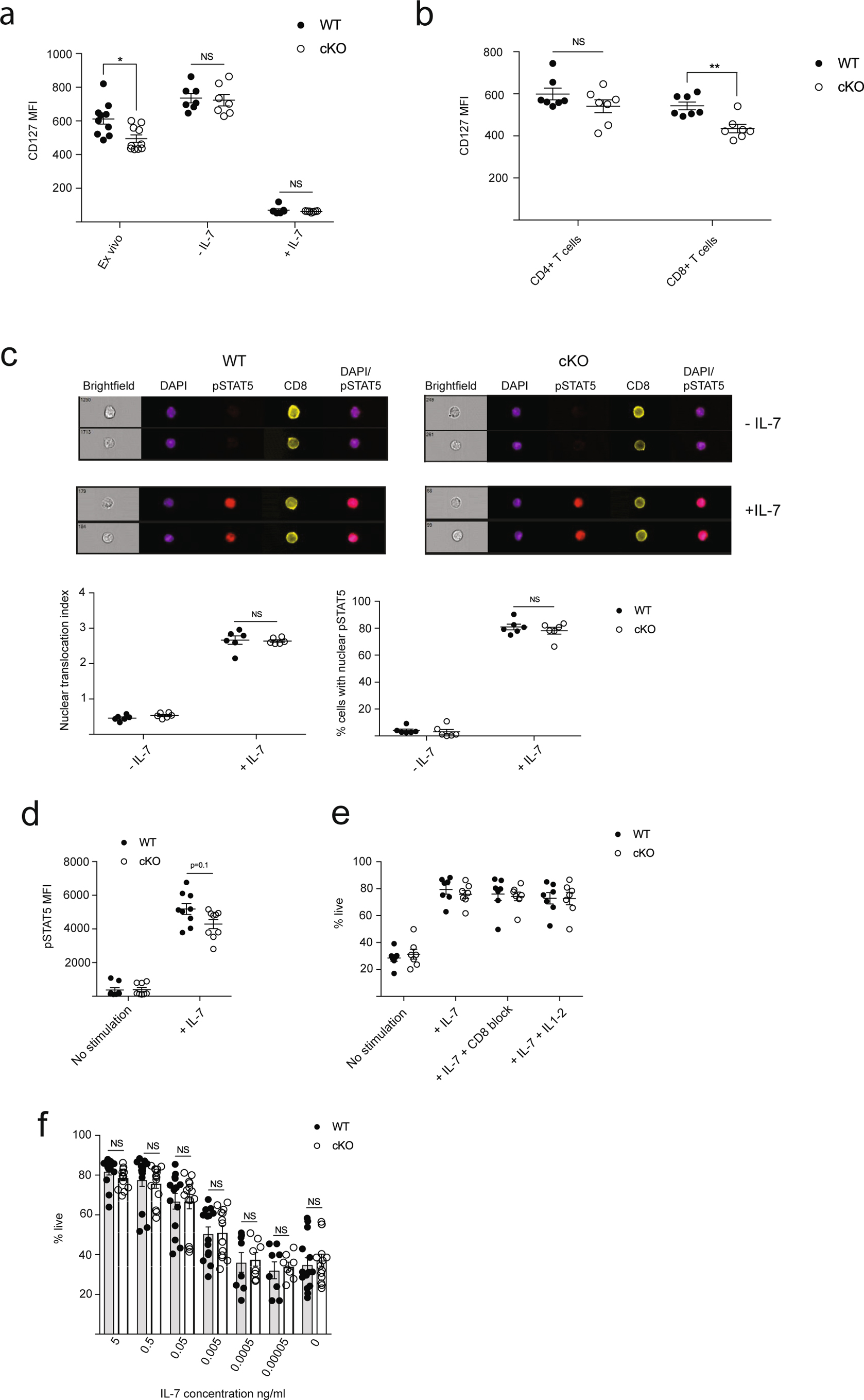 Extended Data Fig. 4: Unimpaired IL-7 signaling and pro-survival function in Themis cKO OTI CD8+ T cells.