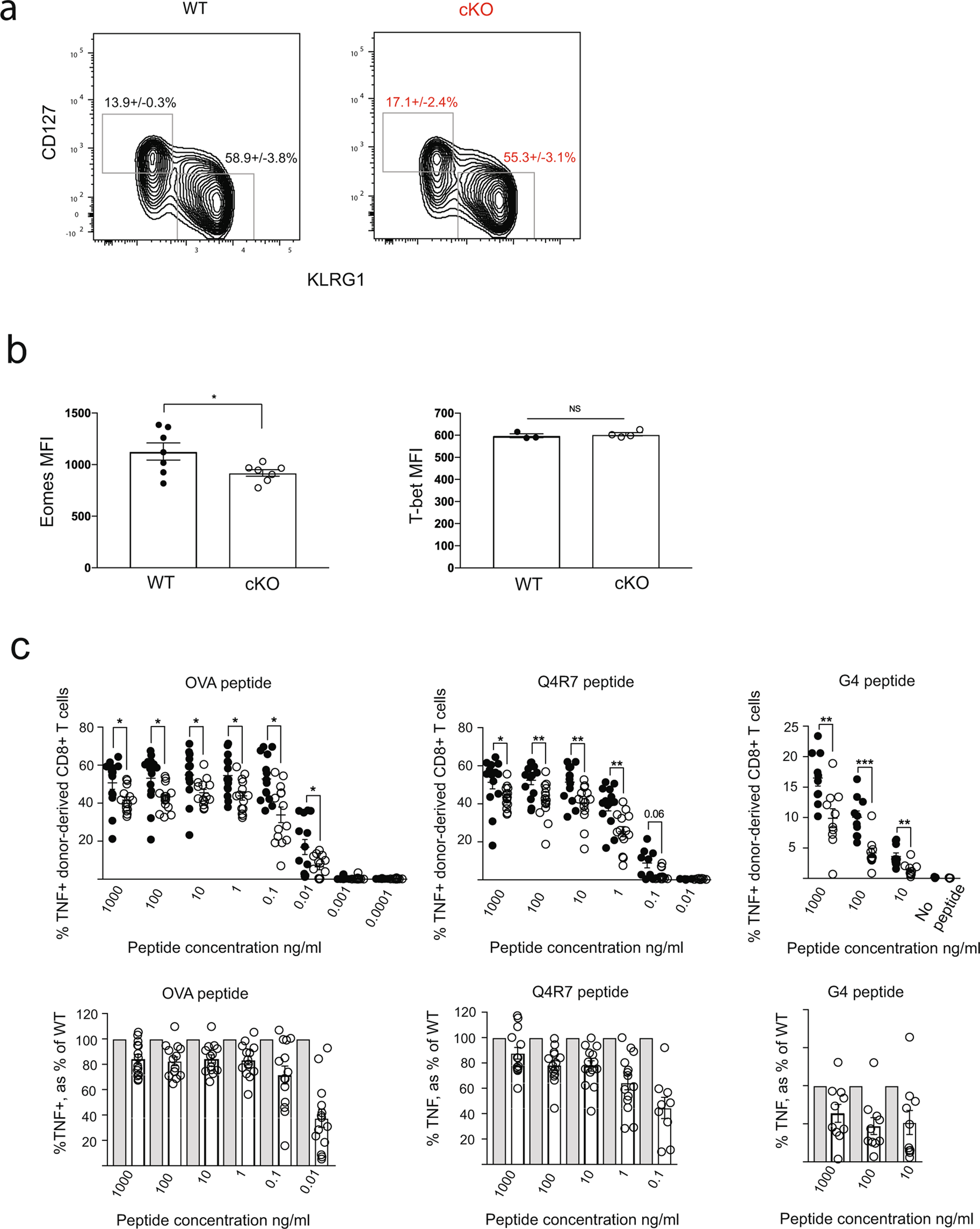 Extended Data Fig. 7: Phenotype and activation of OTI cKO CD8+ T cells during LM-OVA infection.