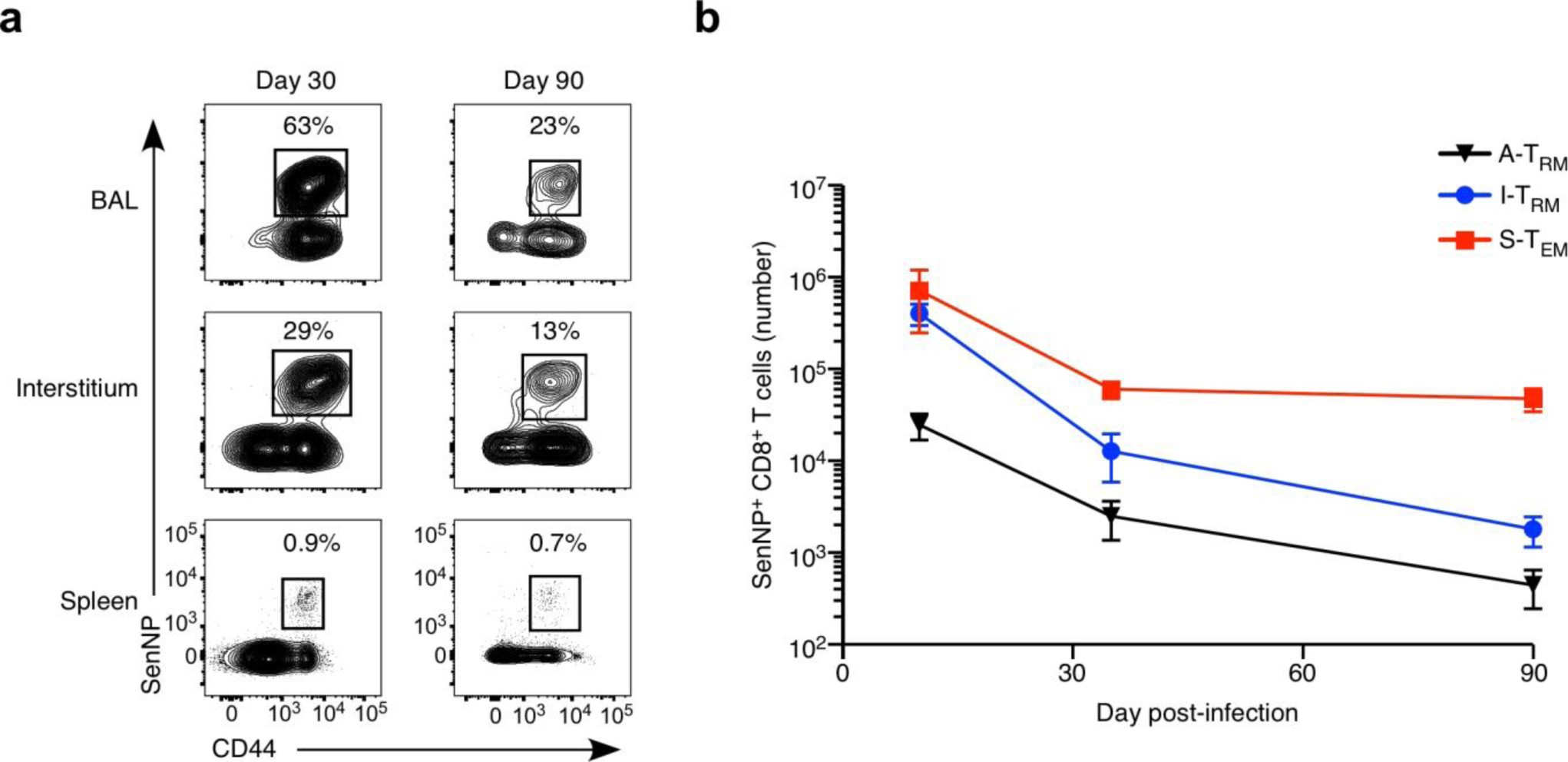 Supplementary Fig. 1