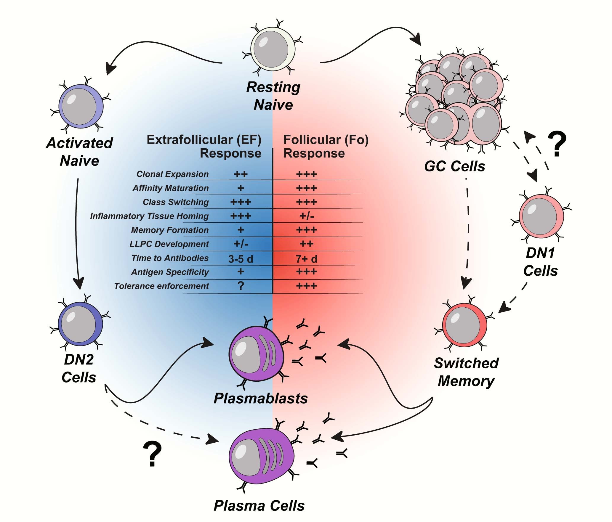 Extended Data Fig. 4