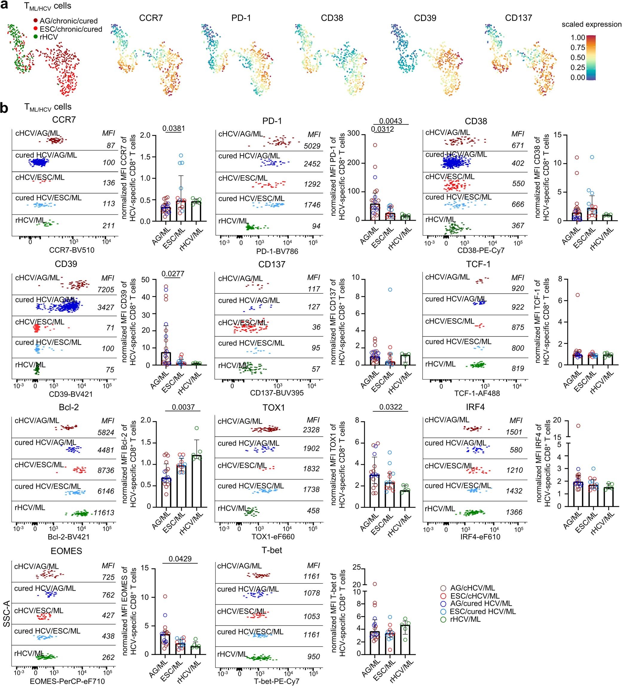 Extended Data Fig. 9: Phenotypic characteristics of TML/HCV cells targeting conserved versus variant epitopes.