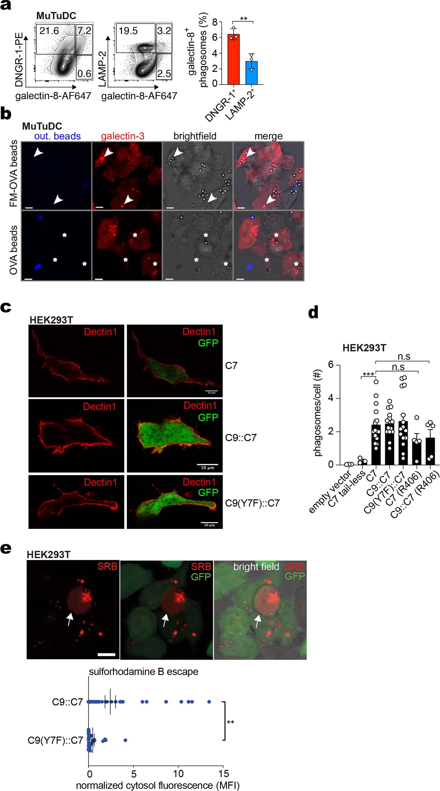 Extended Data Fig. 3