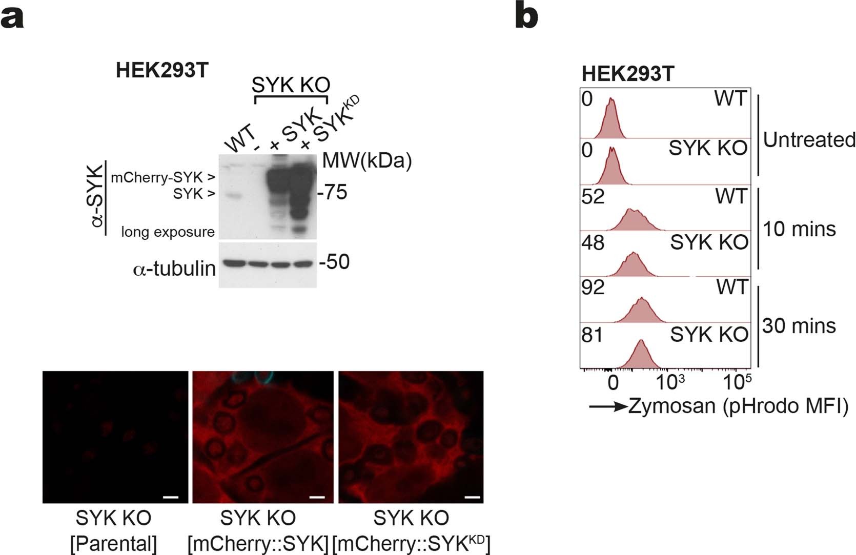 Extended Data Fig. 5