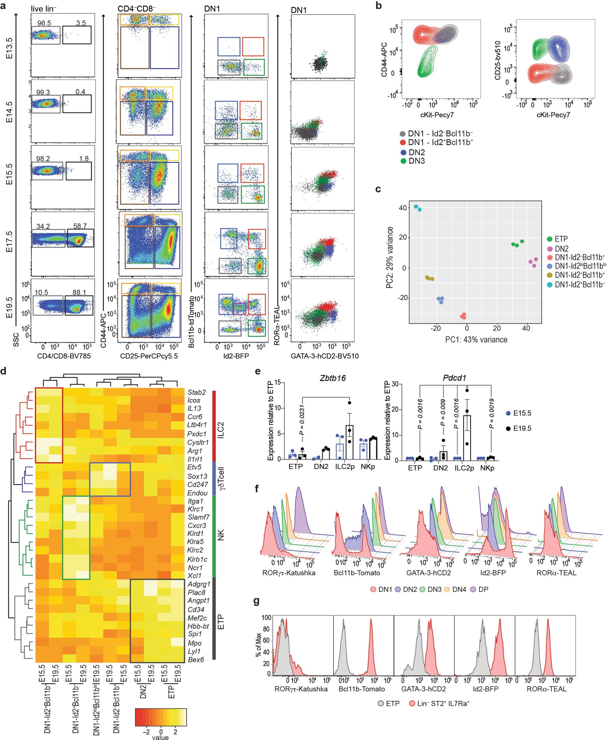 Extended Data Fig. 1: Characterization of DN1 embryonic thymus populations using 5xpolychromILC mice.