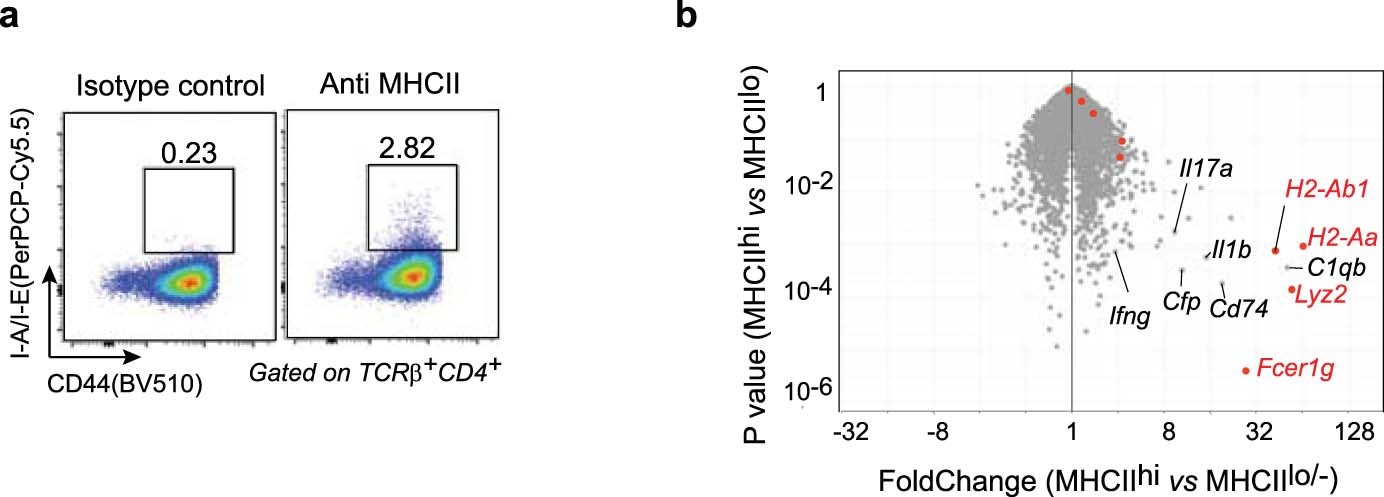 Extended Data Fig. 7: The unexpected MyT subset.