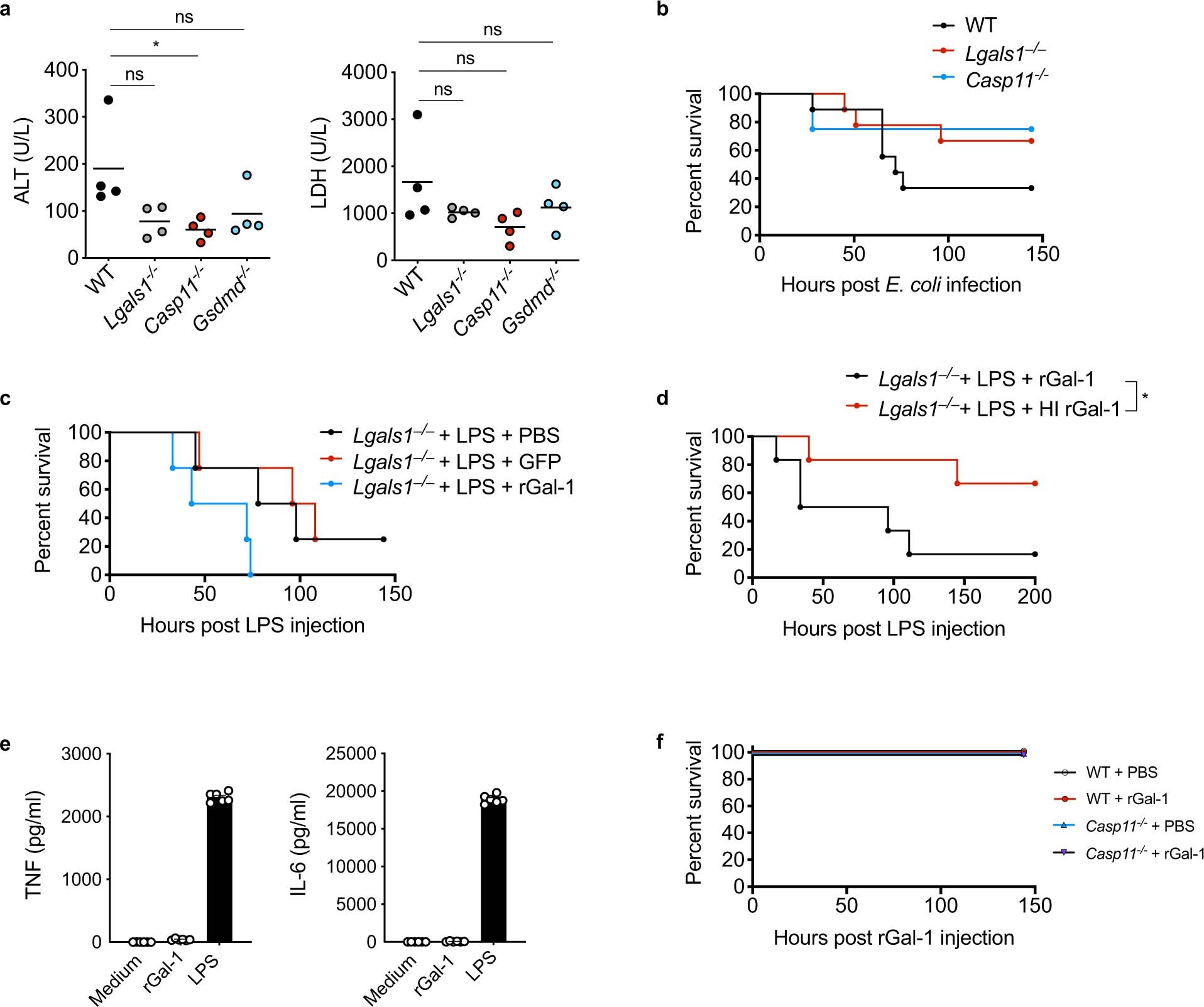 Extended Data Fig. 2: Galectin-1 contributes to lethality during sepsis.
