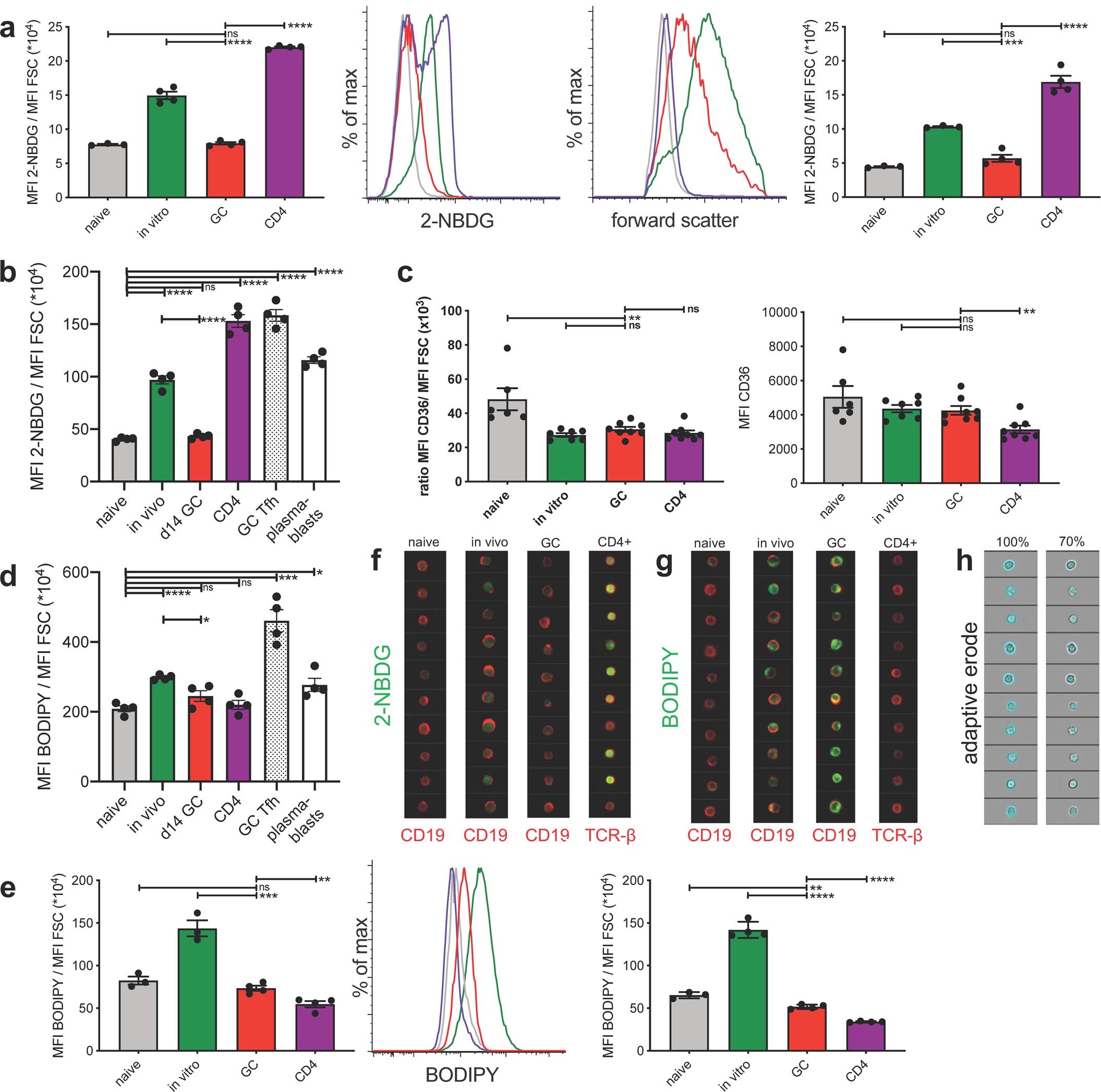 Extended Data Fig. 4