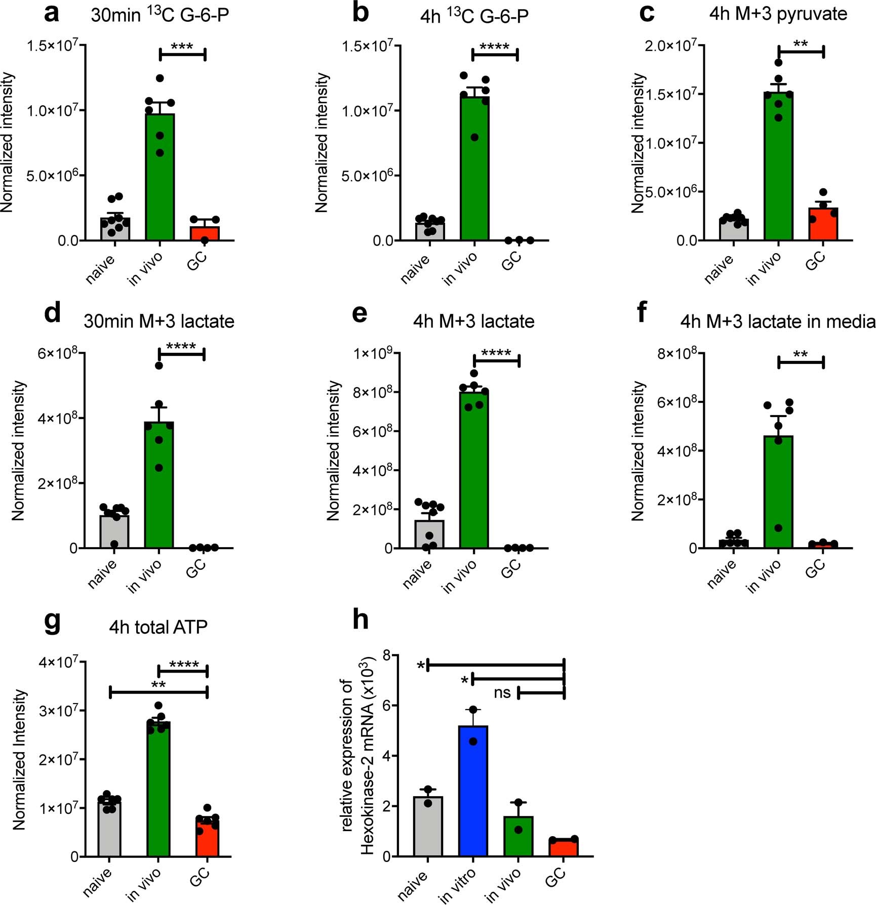 Extended Data Fig. 6