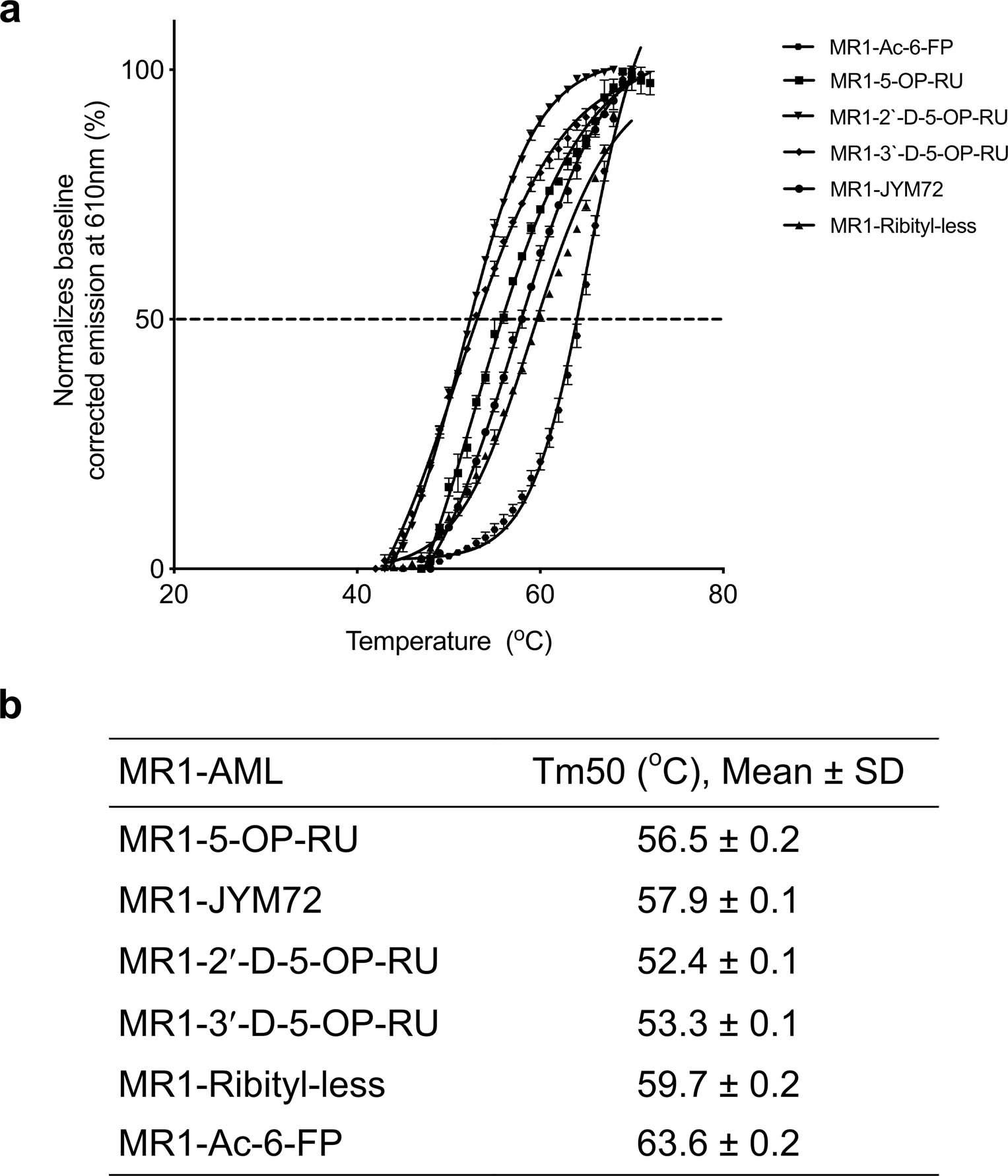 Extended Data Fig. 1: Thermostability of soluble MR1-AML by fluorescence-based thermal shift assay.