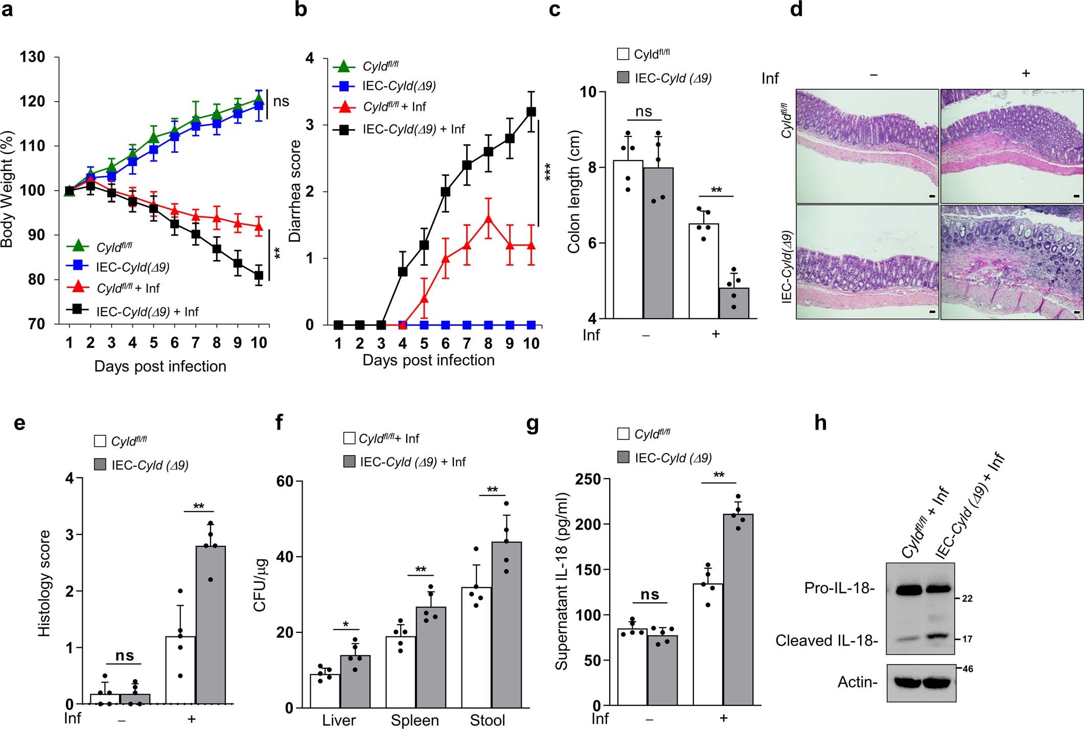 Extended Data Fig. 4