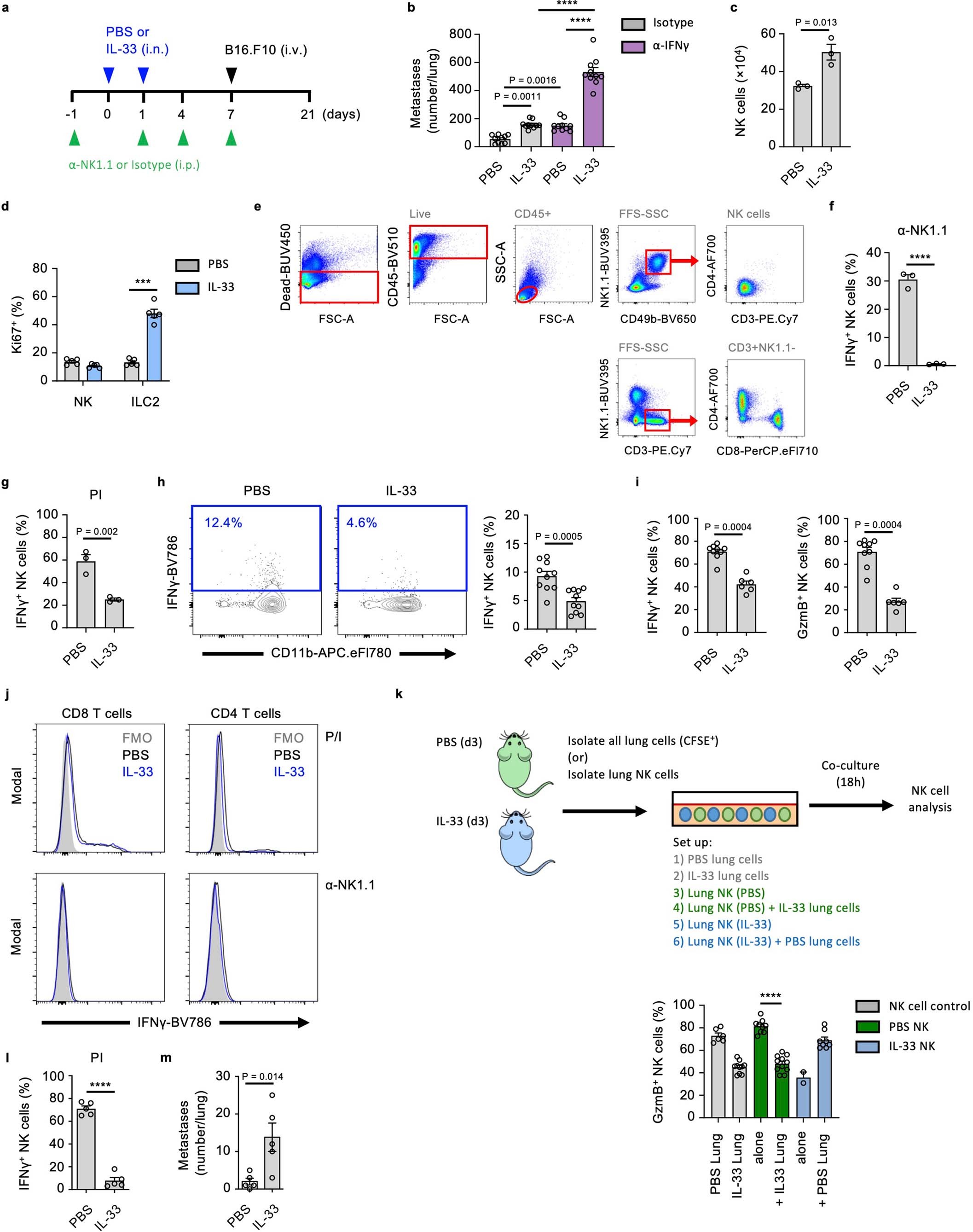 Extended Data Fig. 2: IL-33 influences lung NK cells.