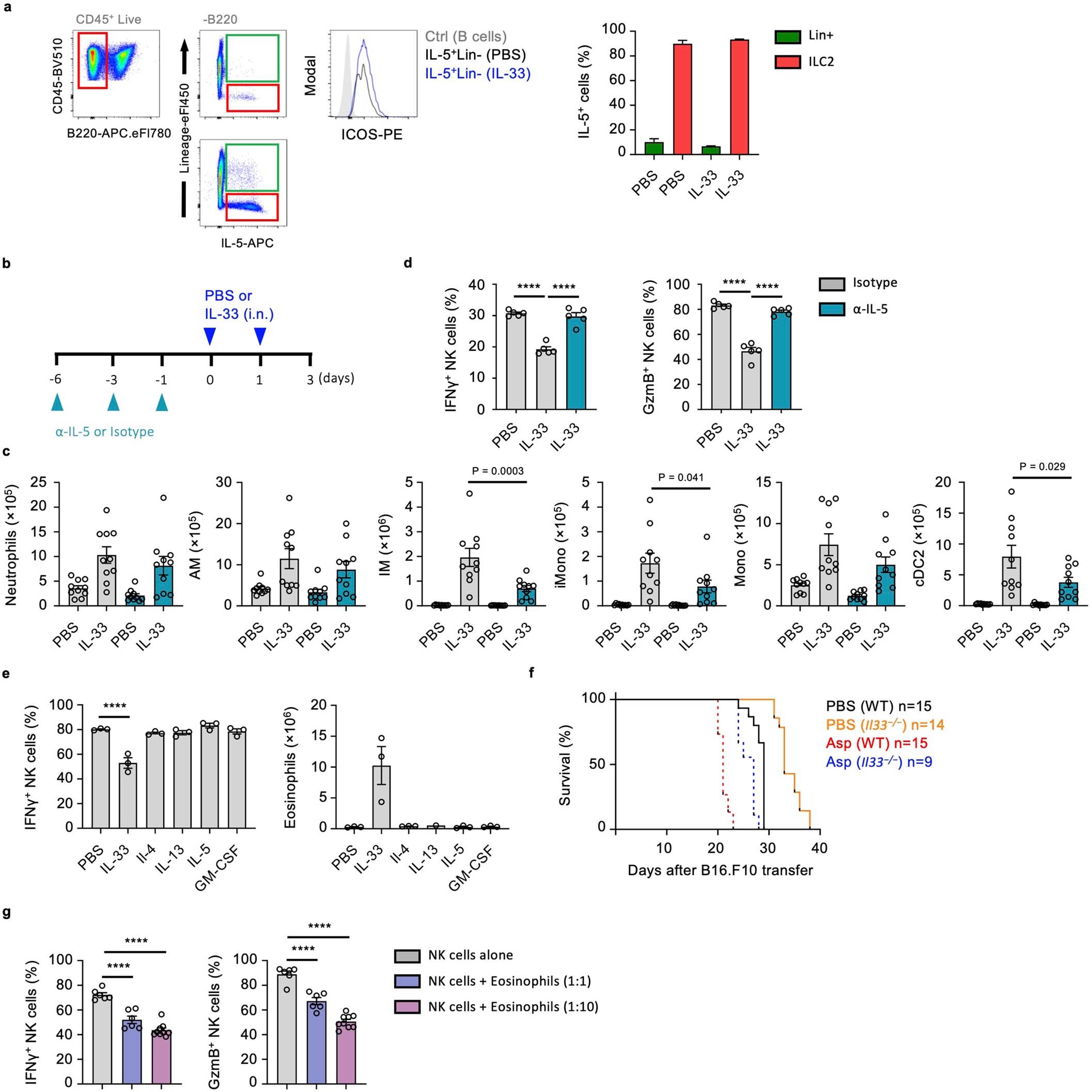 Extended Data Fig. 6: IL-5 and eosinophils mediate IL-33-driven suppression of NK cells.