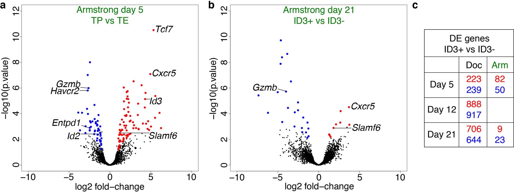 Extended Data Fig. 4: Transcriptional differences between ID3+ and ID3- P14 T cells in acute and chronic infection.
