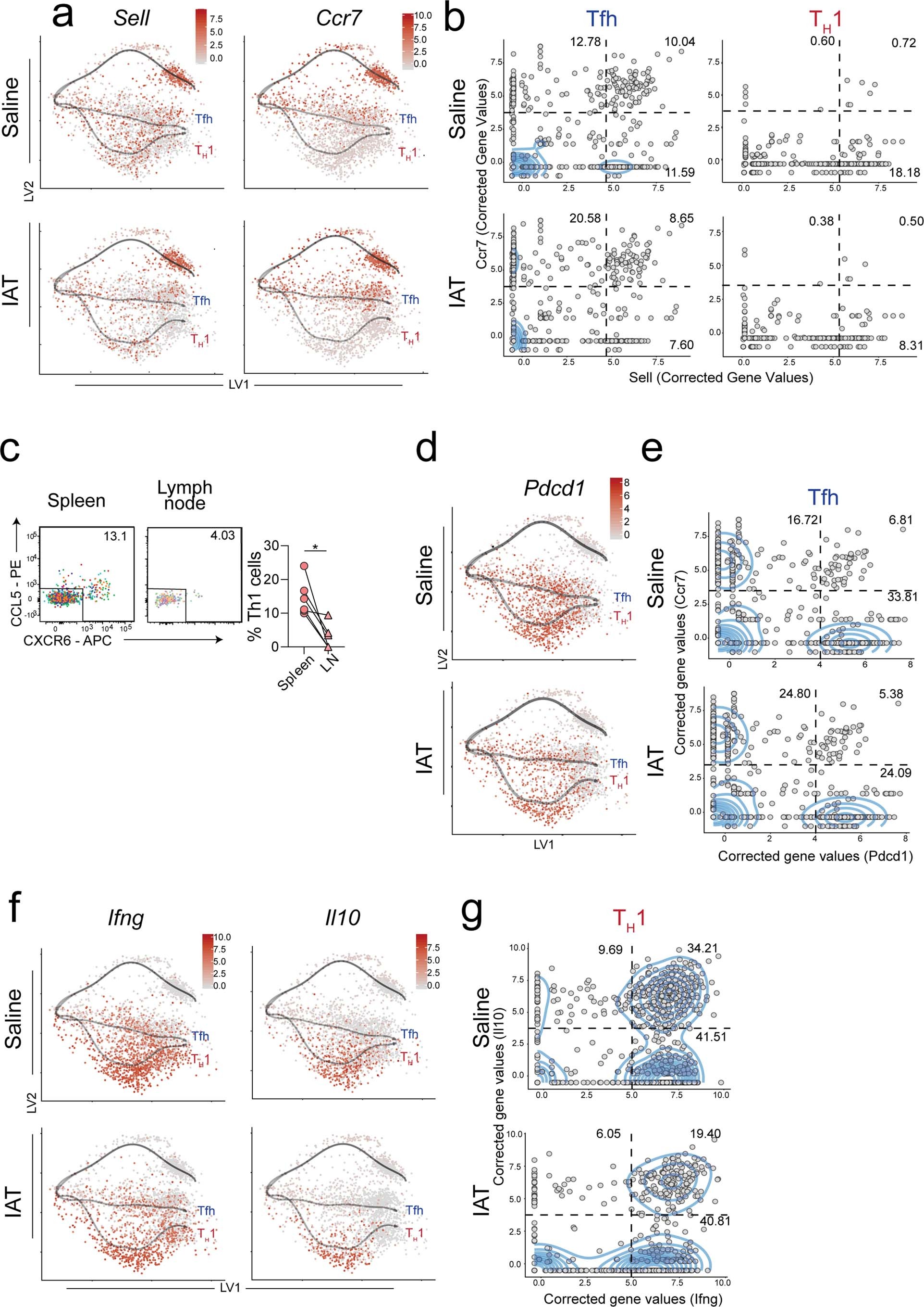 Extended Data Fig. 8: Assessing relationships of TH1 and Tfh-lineages with TCM, GC Tfh and Tr1 subsets in the GPfates model.