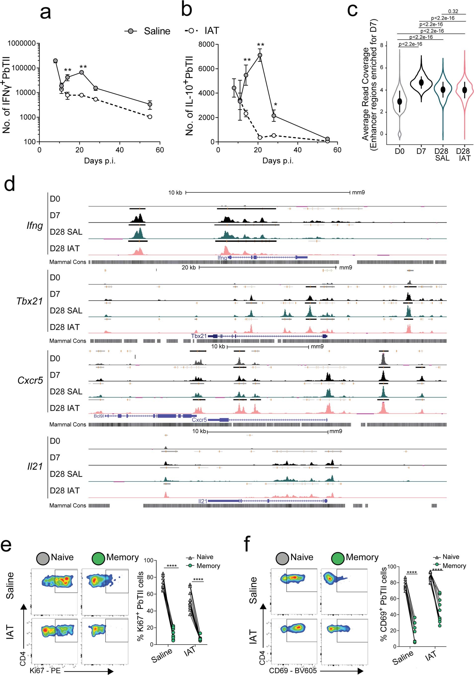 Extended Data Fig. 2: PbTII cells exhibit functional memory characteristics.