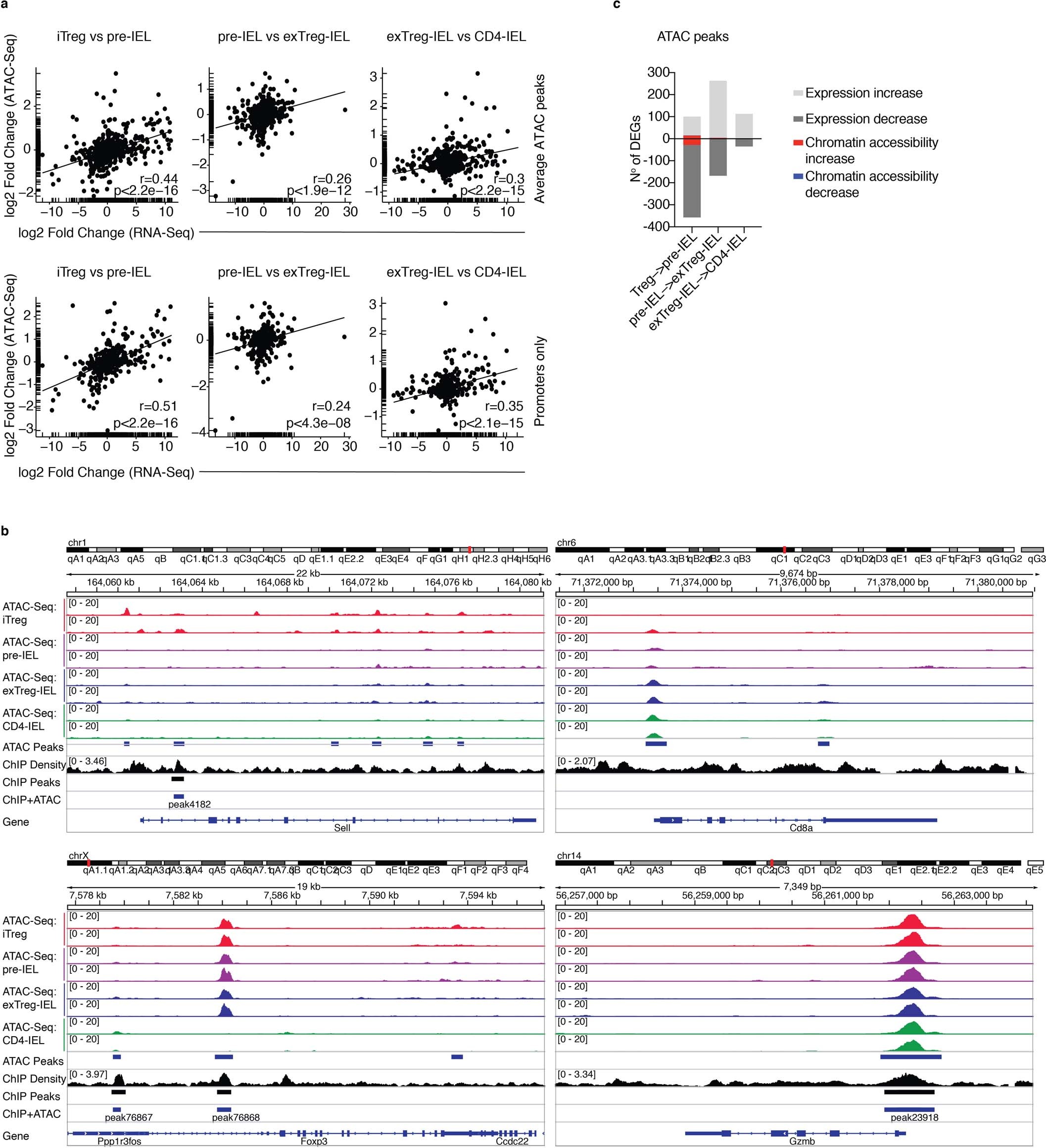 Extended Data Fig. 4: Related to Fig. 4.