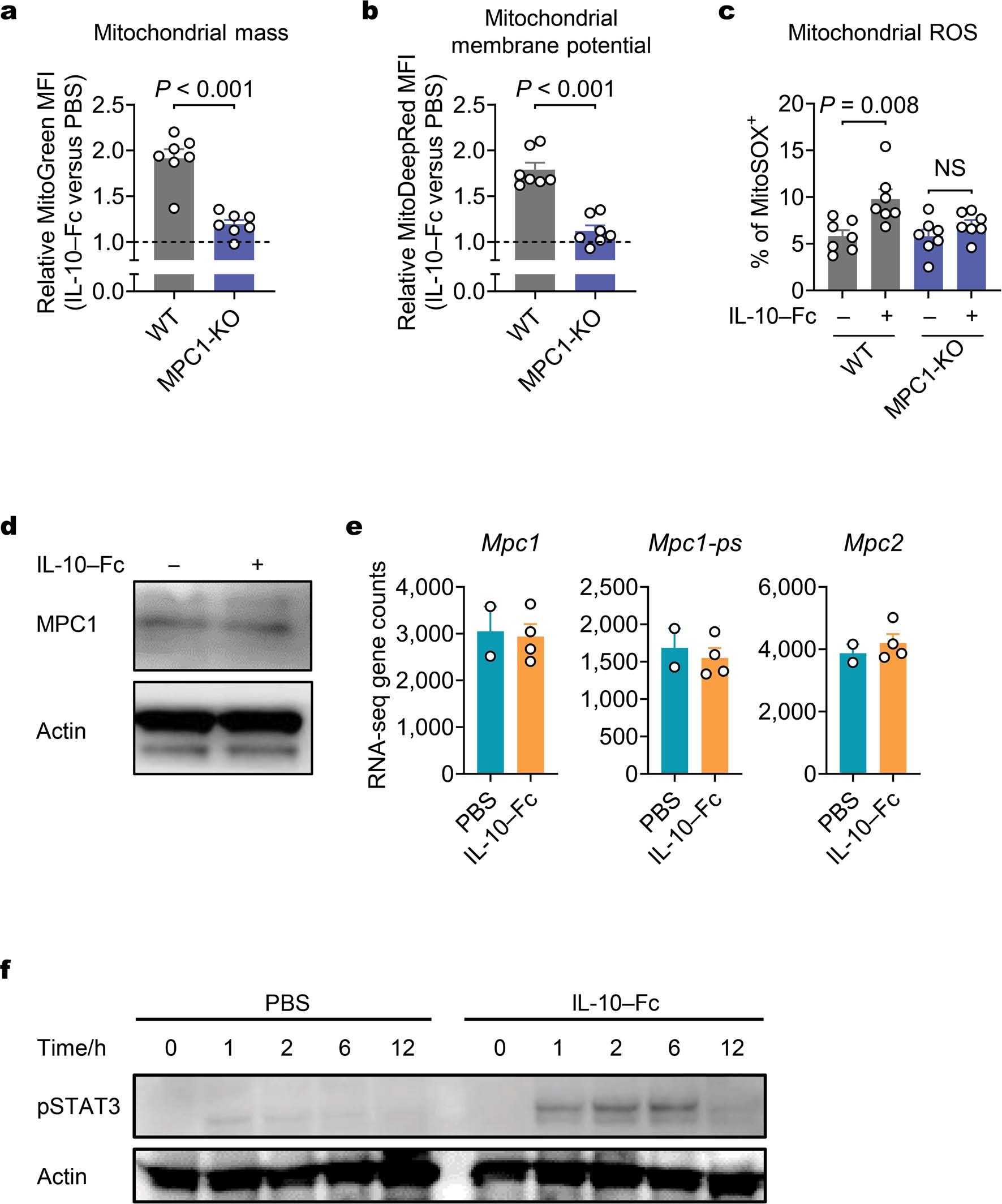 Extended Data Fig. 10: IL-10–Fc promotes mitochondrial fitness and function of terminally exhausted CD8+ TILs in vivo in an MPC dependent manner.