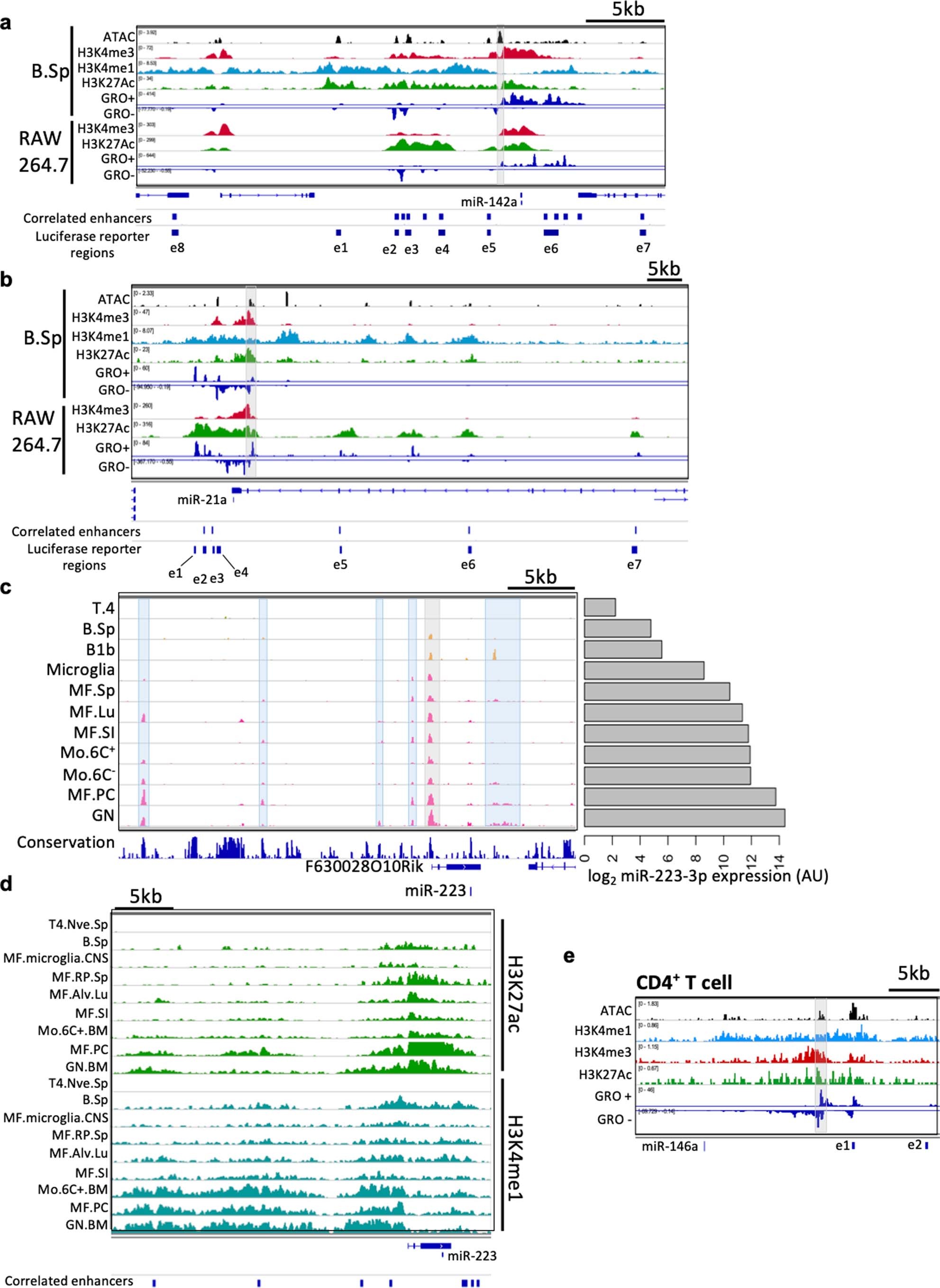 Extended Data Fig. 4: Histone mark and nascent RNA visualization at select miRNA loci.