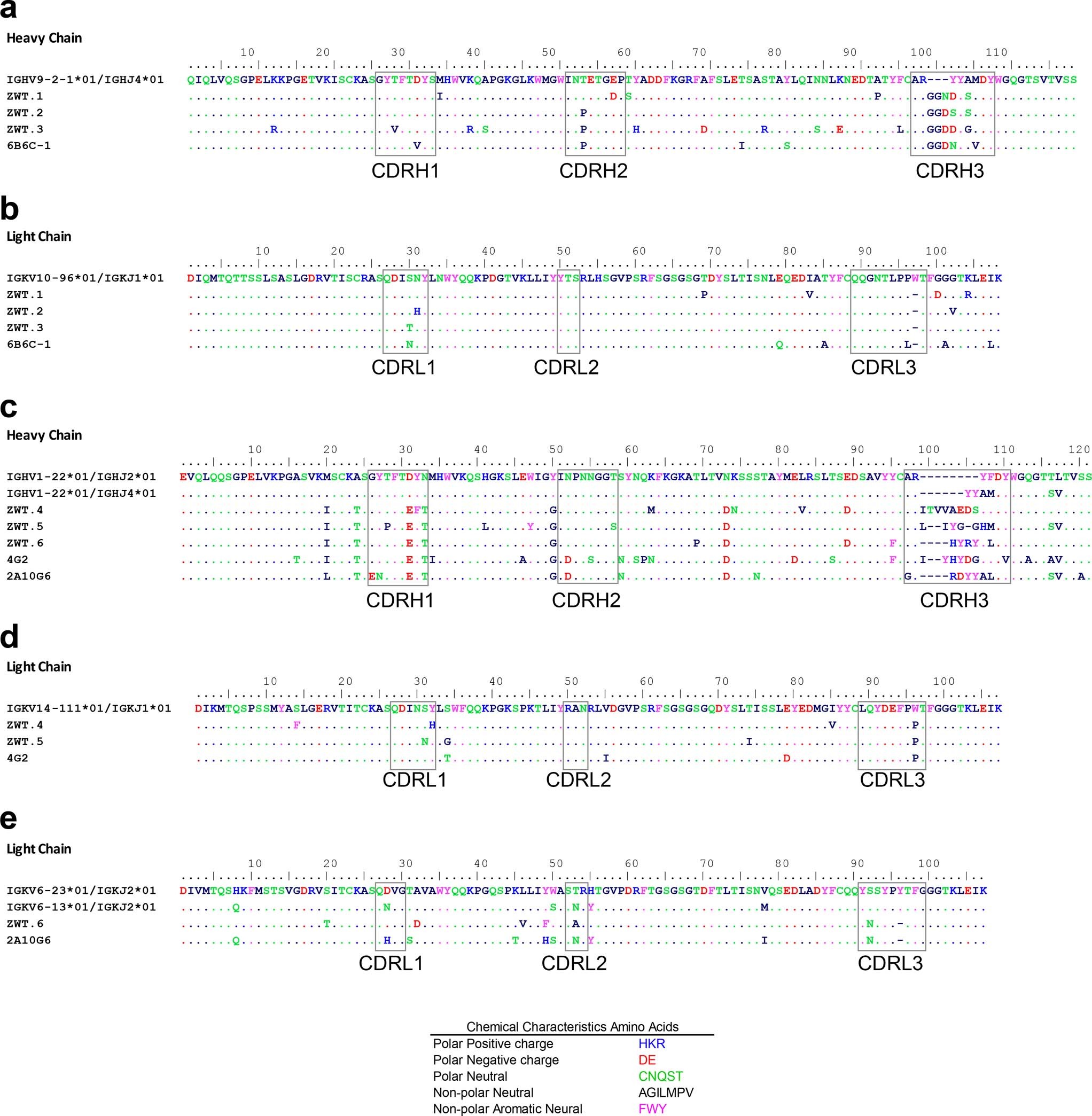 Extended Data Fig. 9: Amino acid sequences and alignment of FLE mAbs.