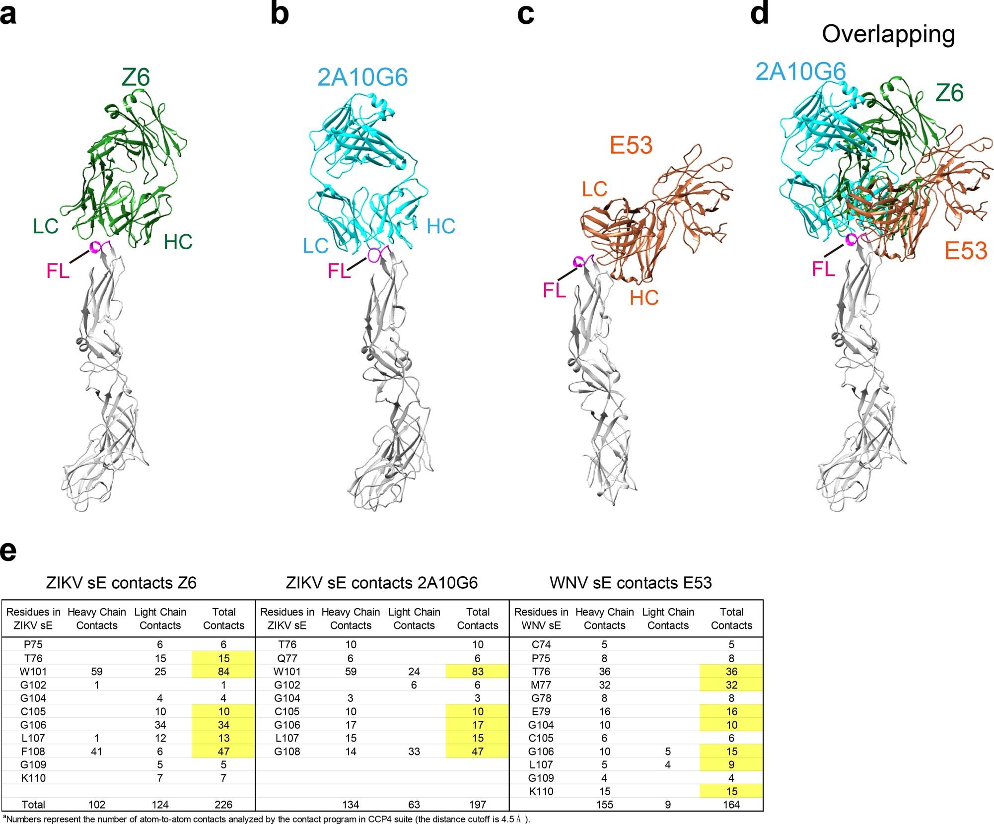 Extended Data Fig. 2: Comparison of FLE mAbs bound to flavivirus-E.
