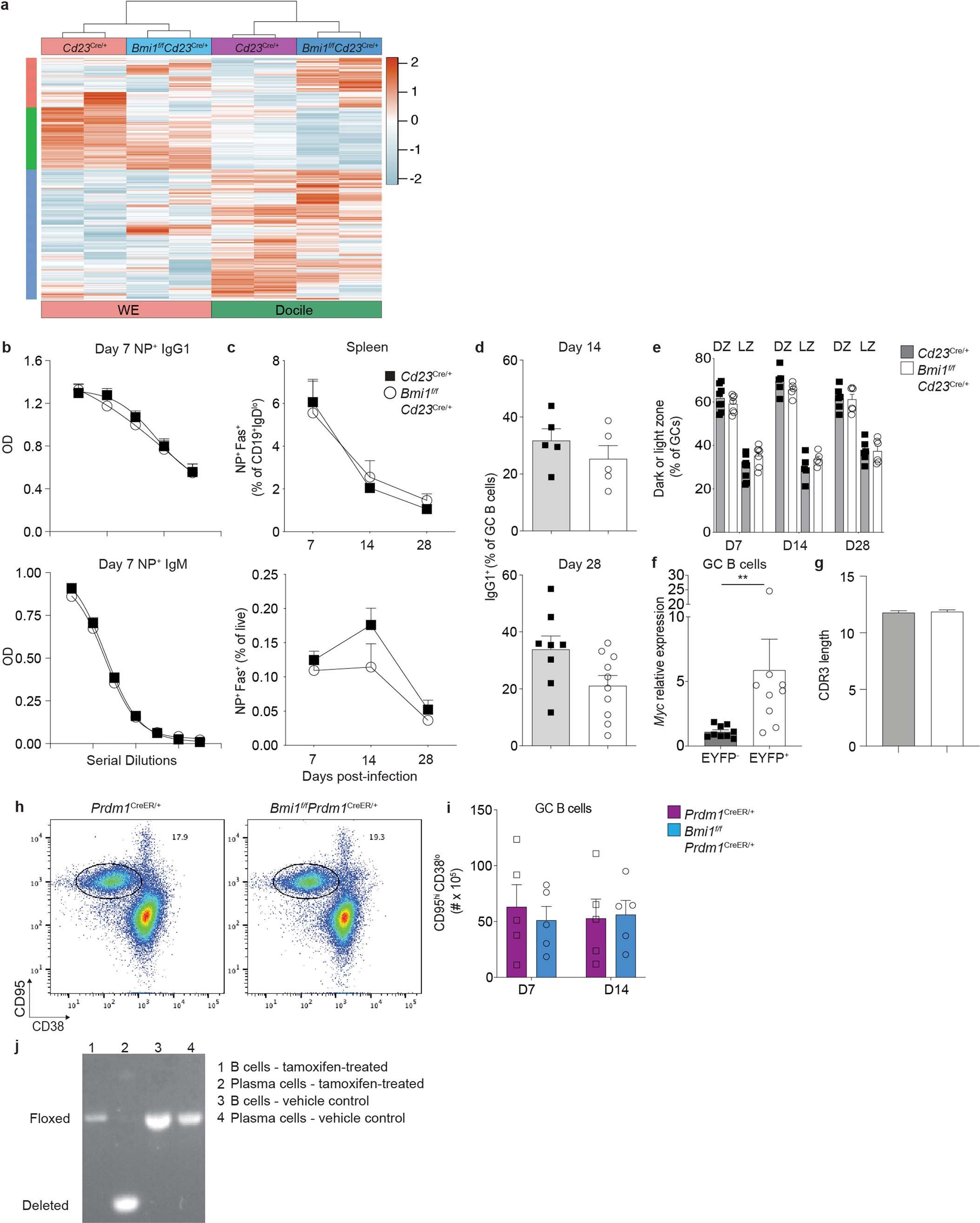 Extended Data Fig. 6