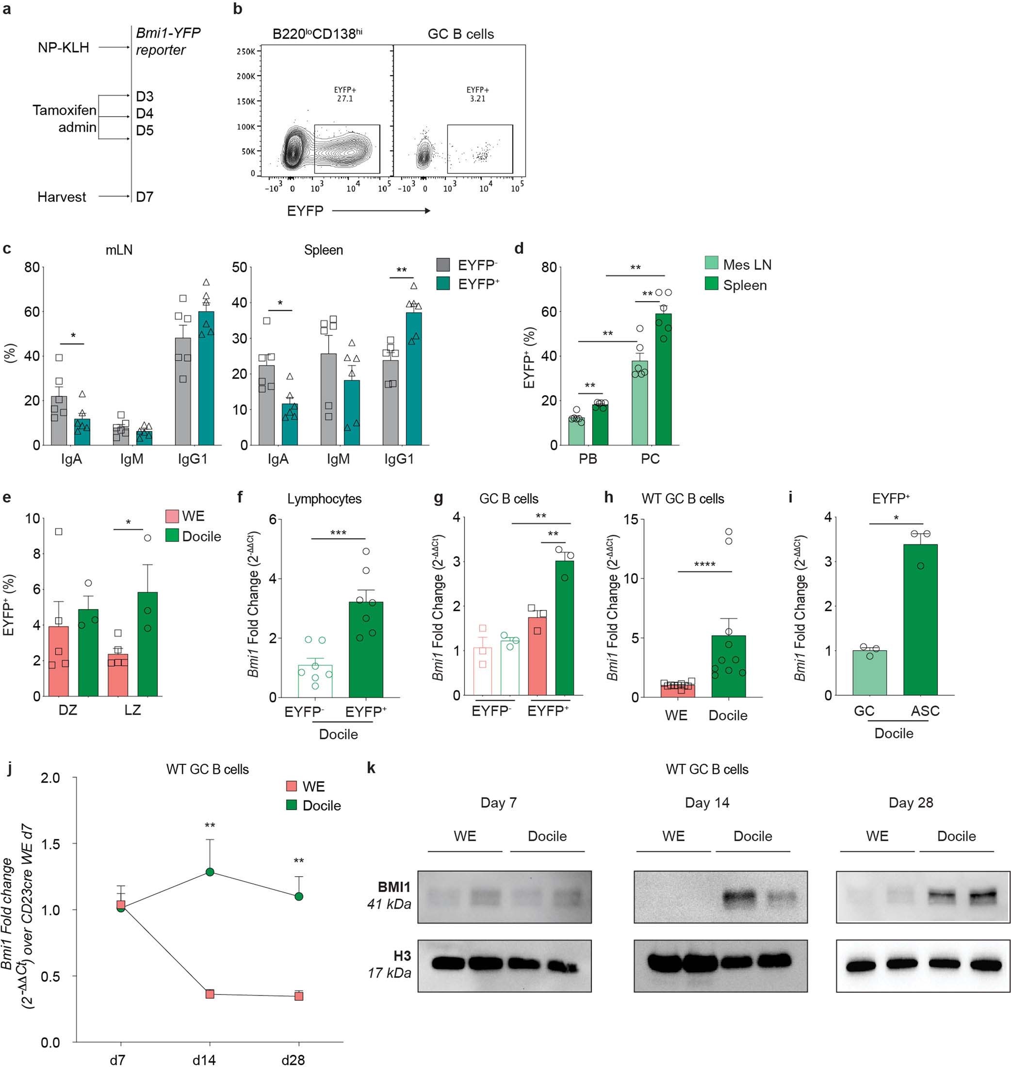 Extended Data Fig. 2