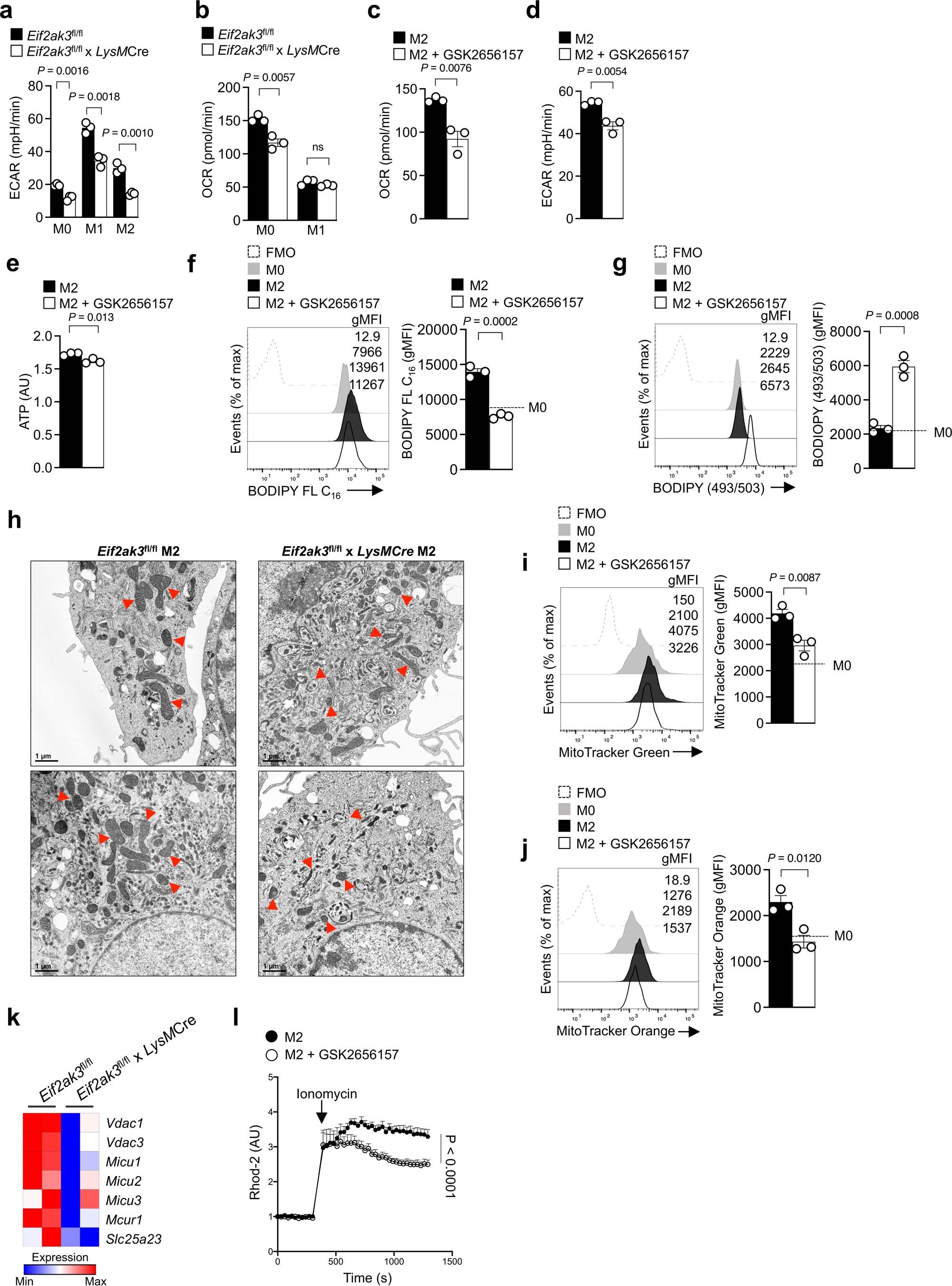 Extended Data Fig. 3