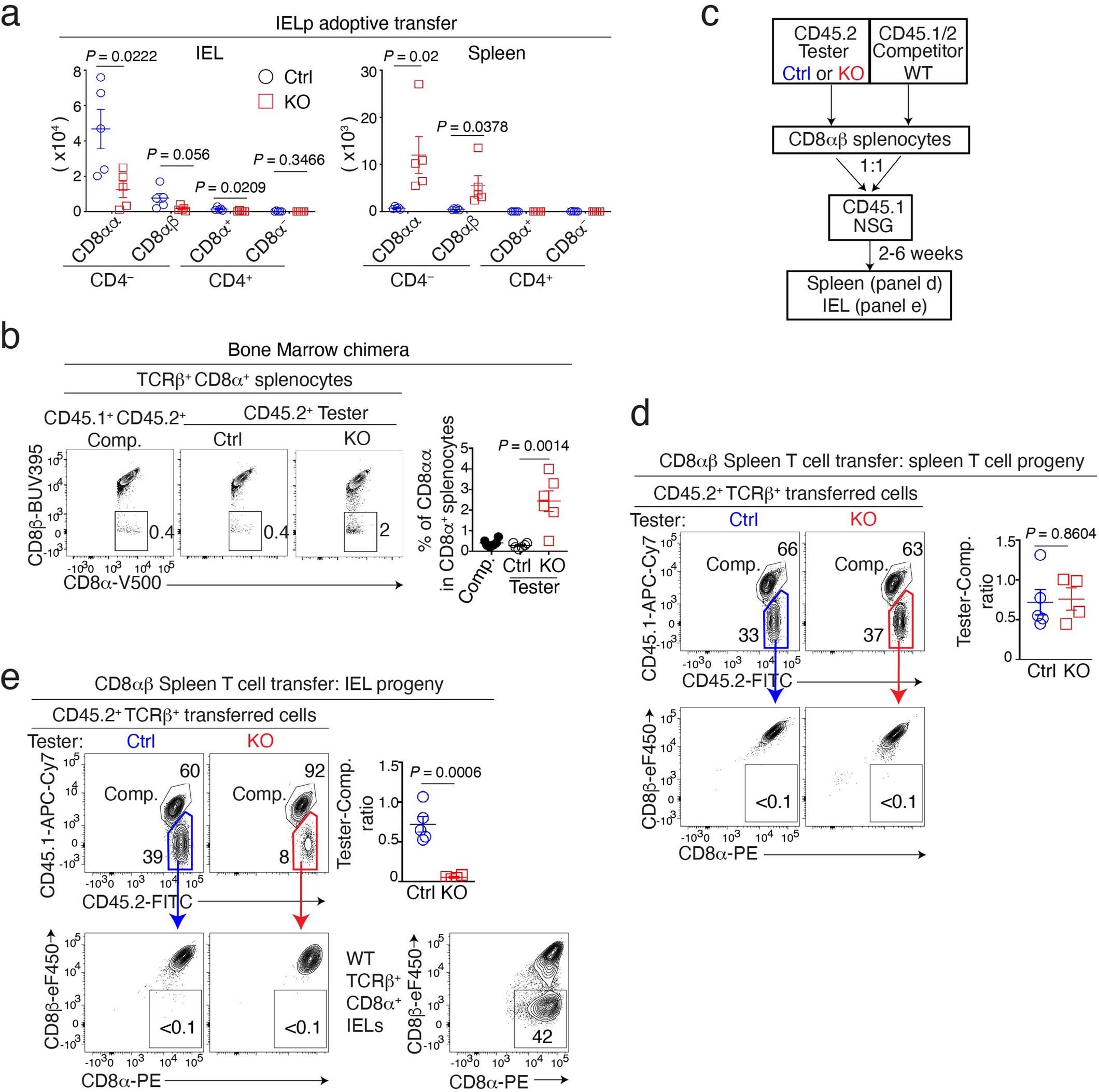 Extended Data Fig. 3: Impact of LRF on IELp homing.