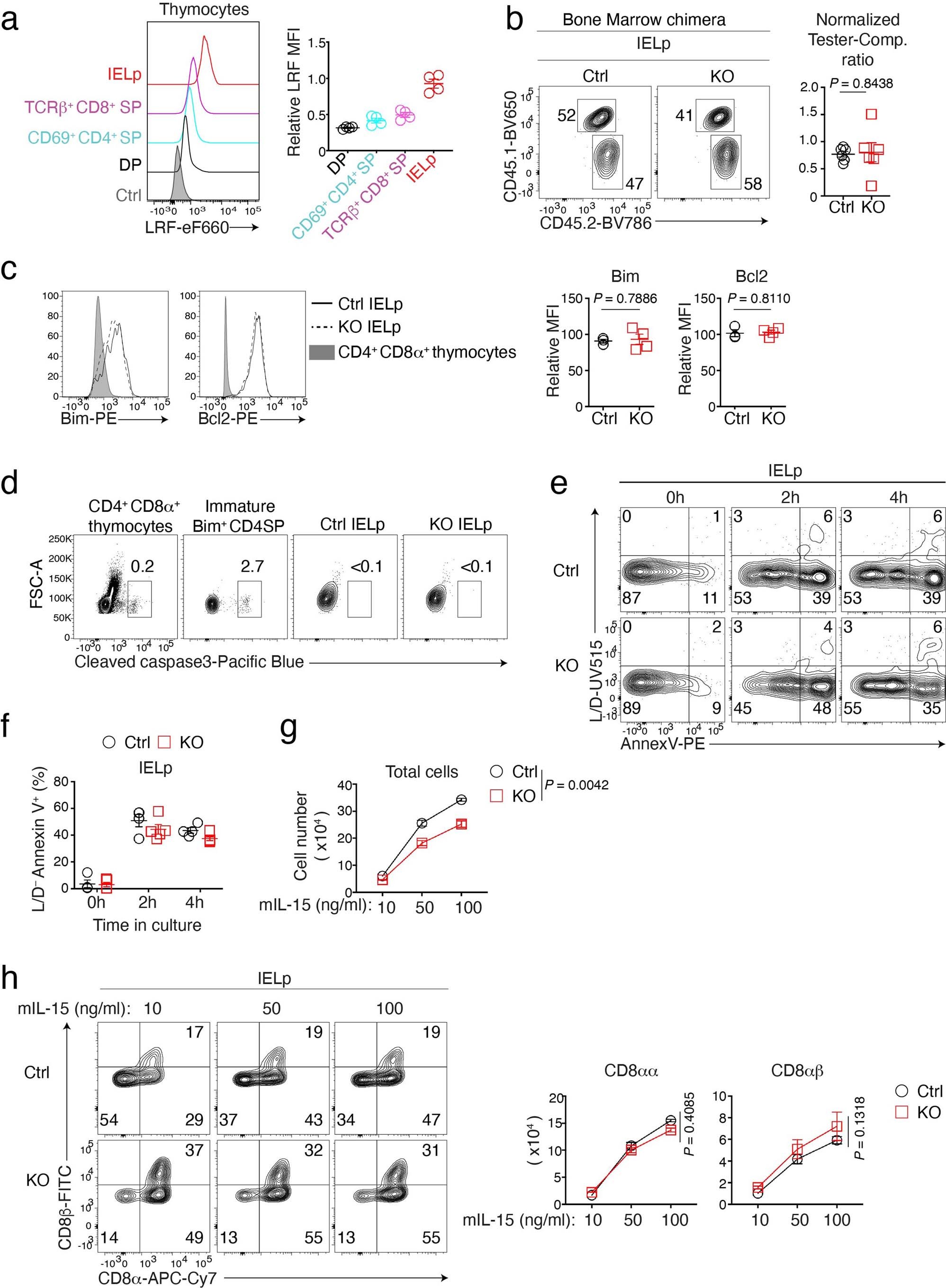 Extended Data Fig. 2: Development of LRF KO IELp.