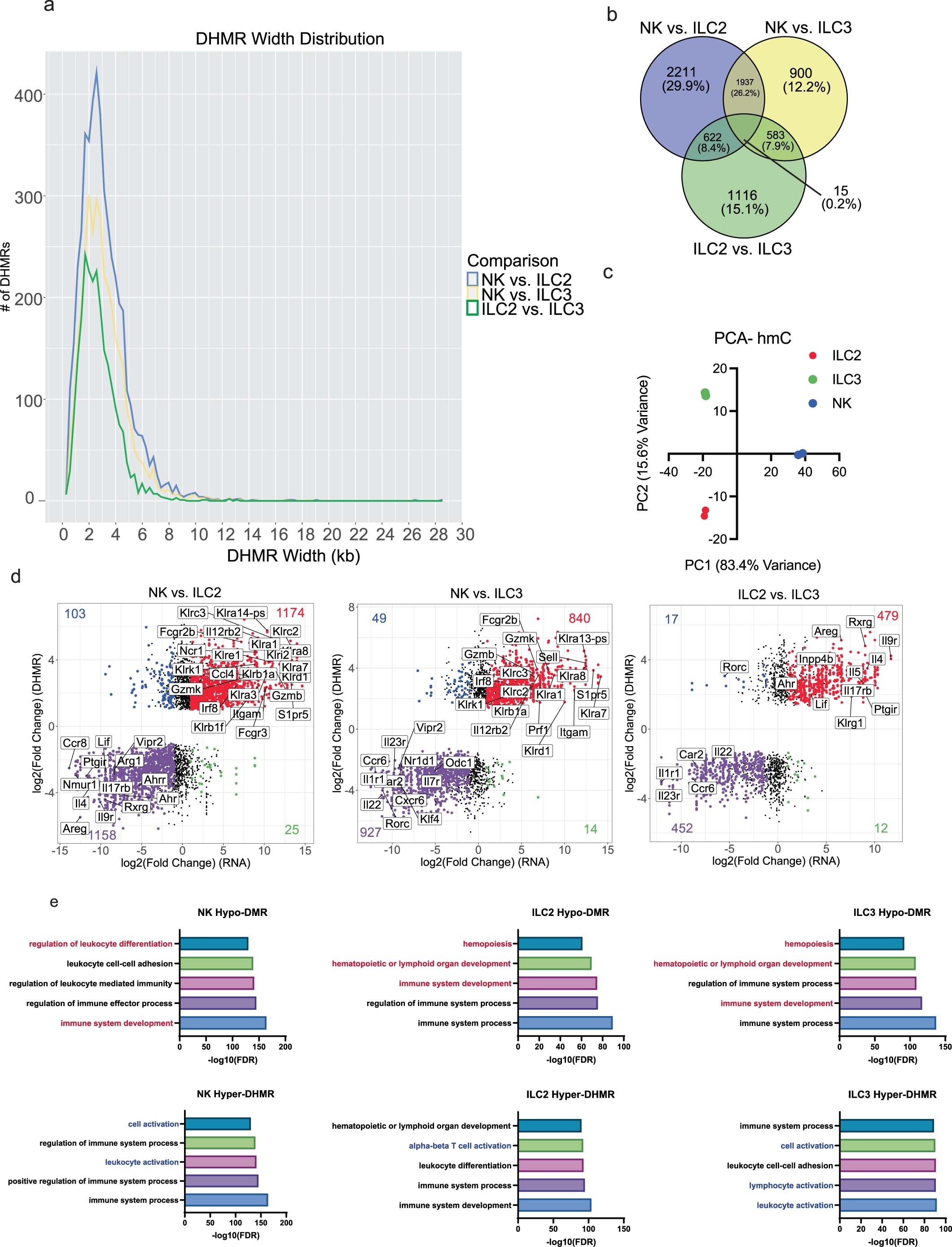Extended Data Fig. 2: DHMR characteristics.