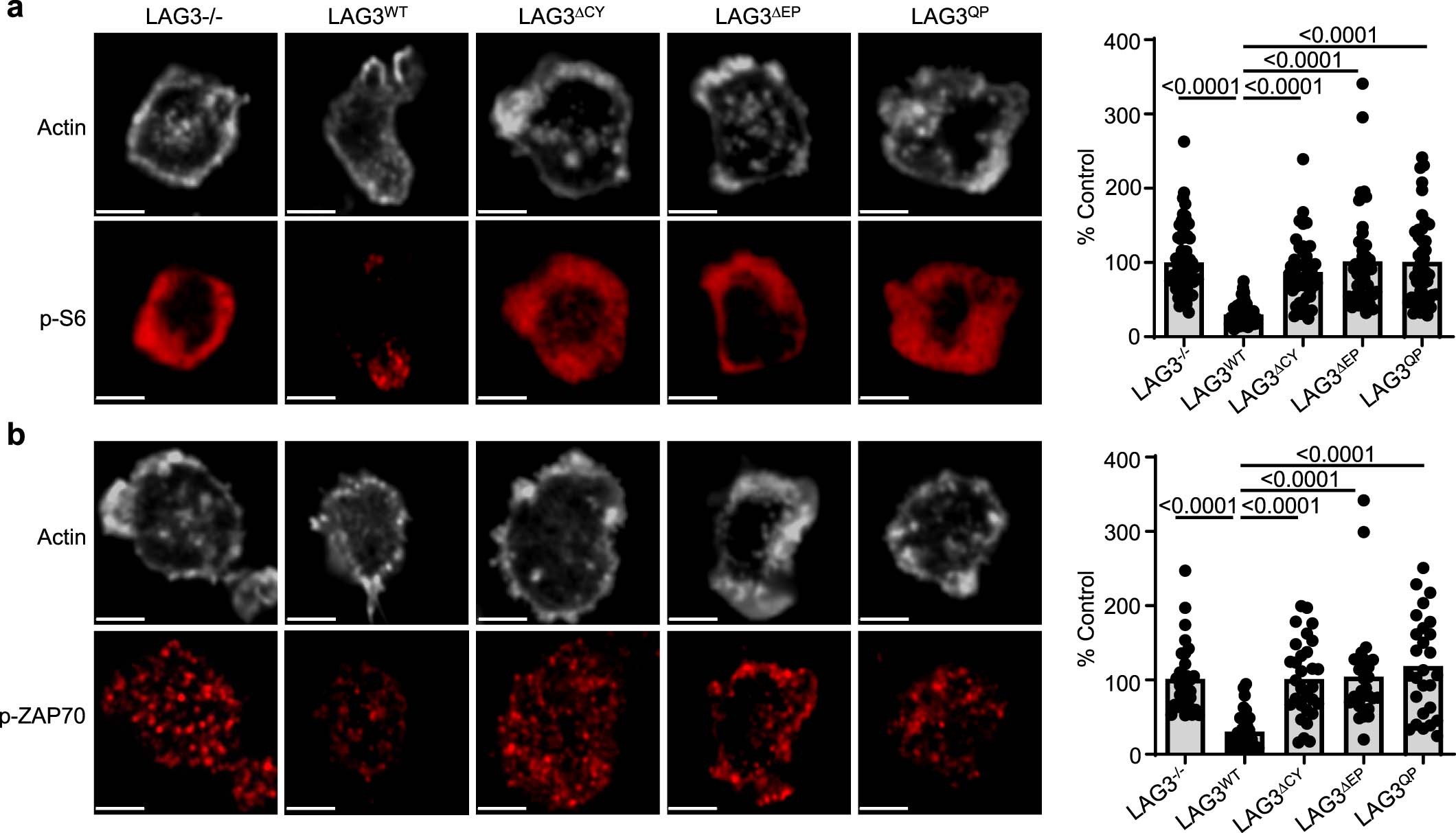 Extended Data Fig. 7